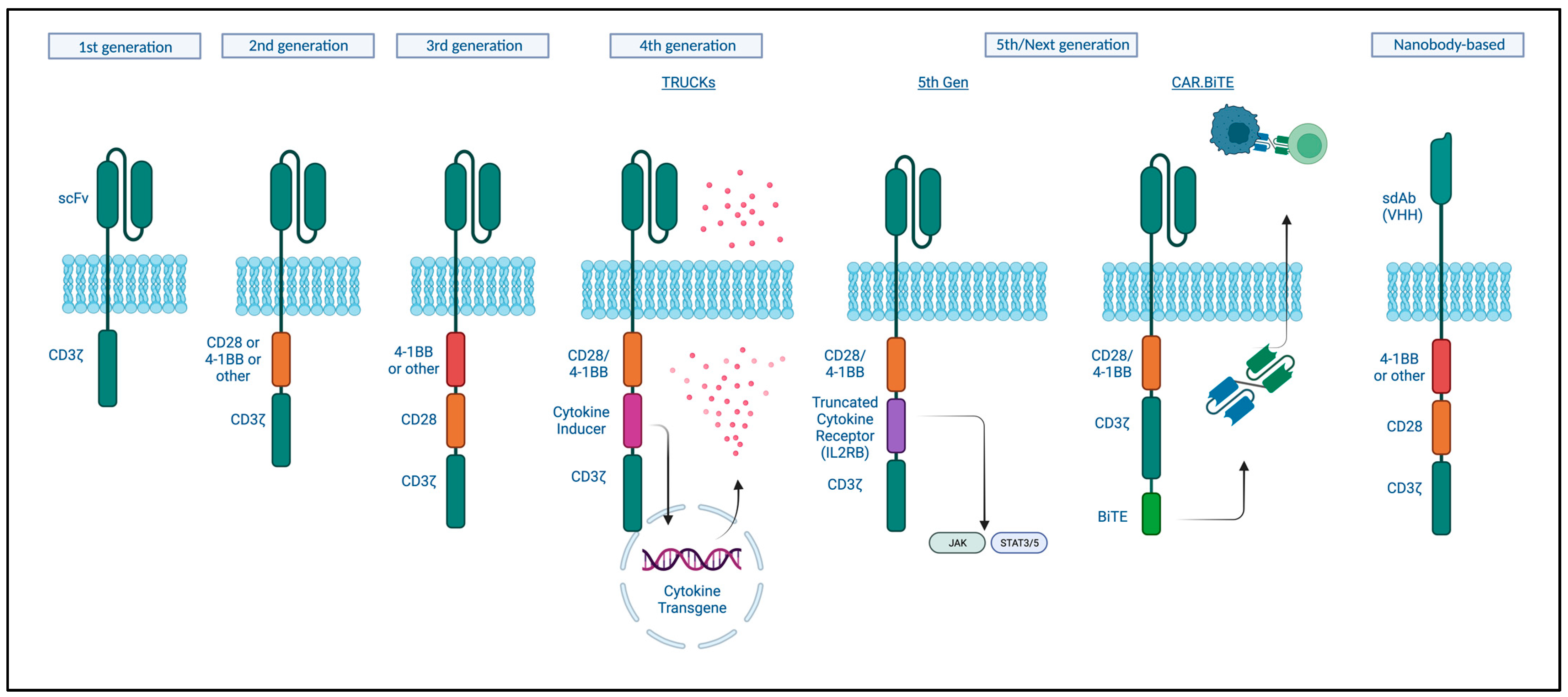 Curroncol 30 00619 g002