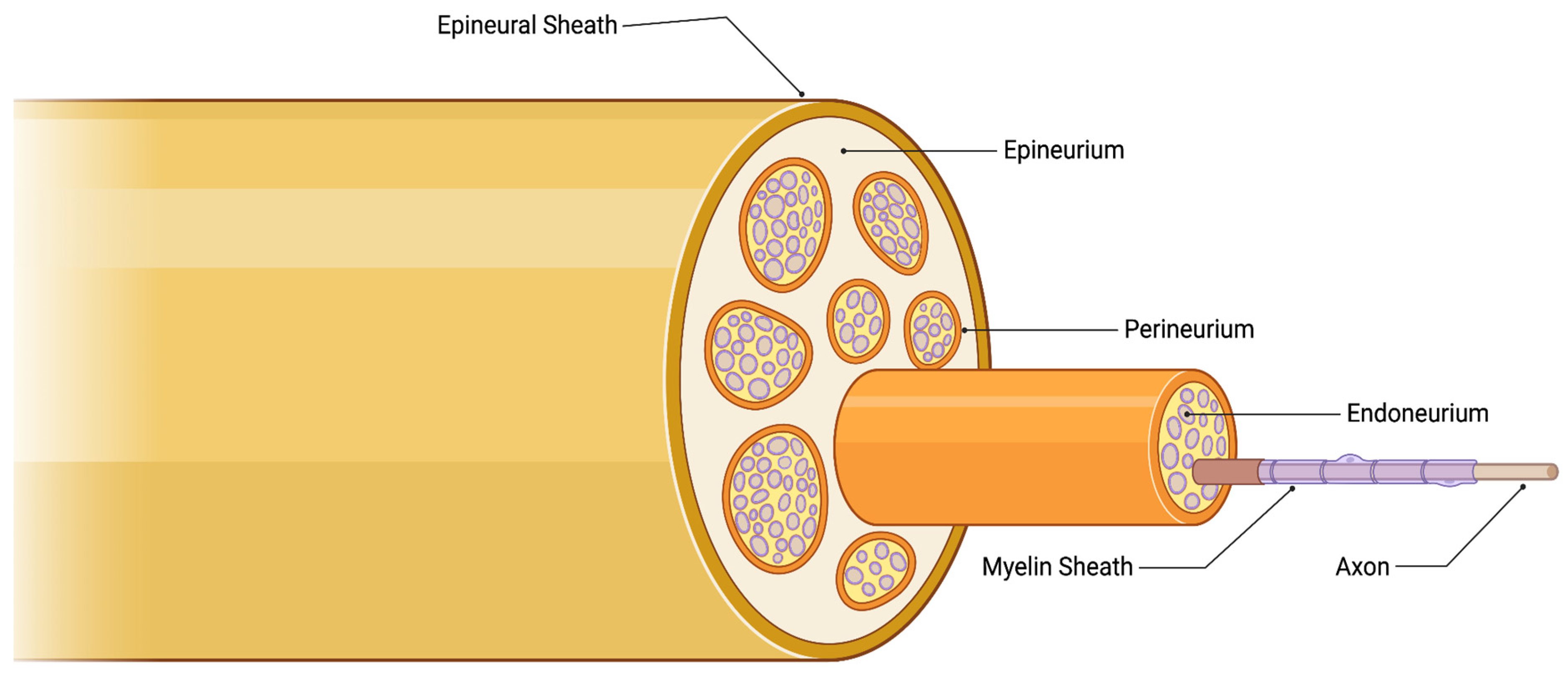 Curroncol 30 00647 g001