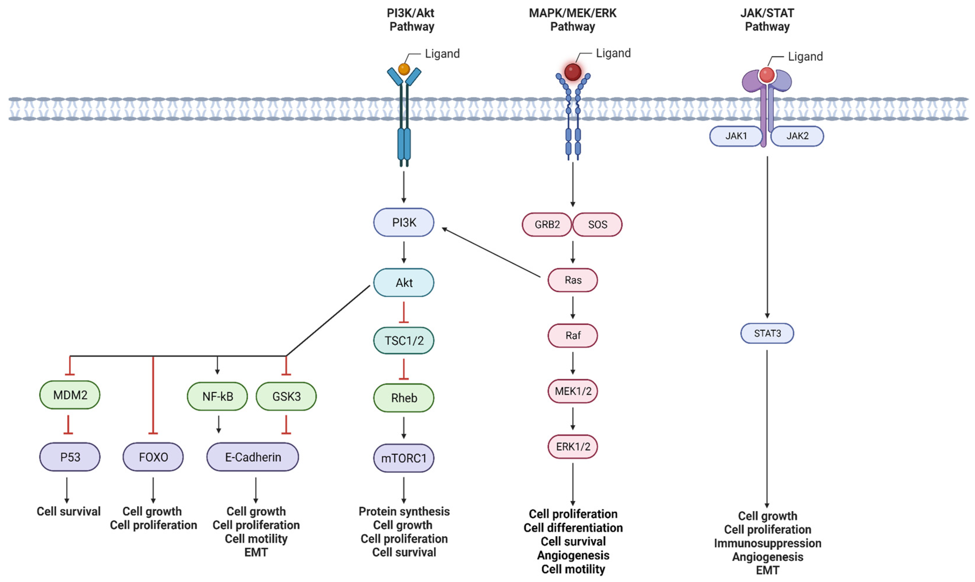 Curroncol 30 00647 g002