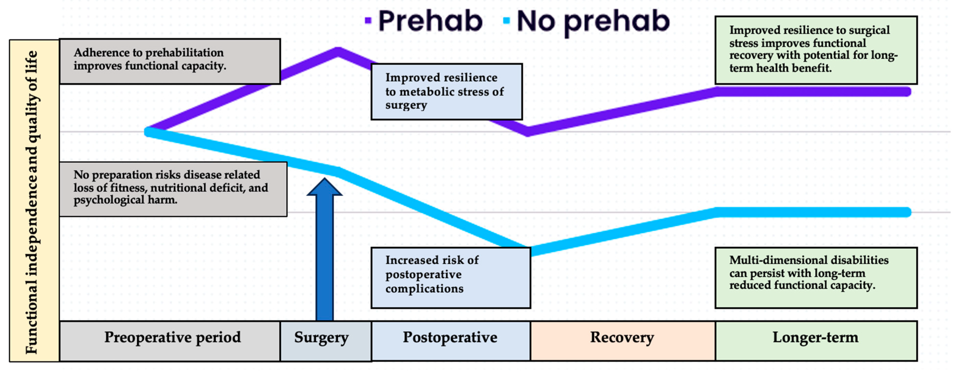 Curroncol 31 00046 g001 Curroncol 31 00046 g001