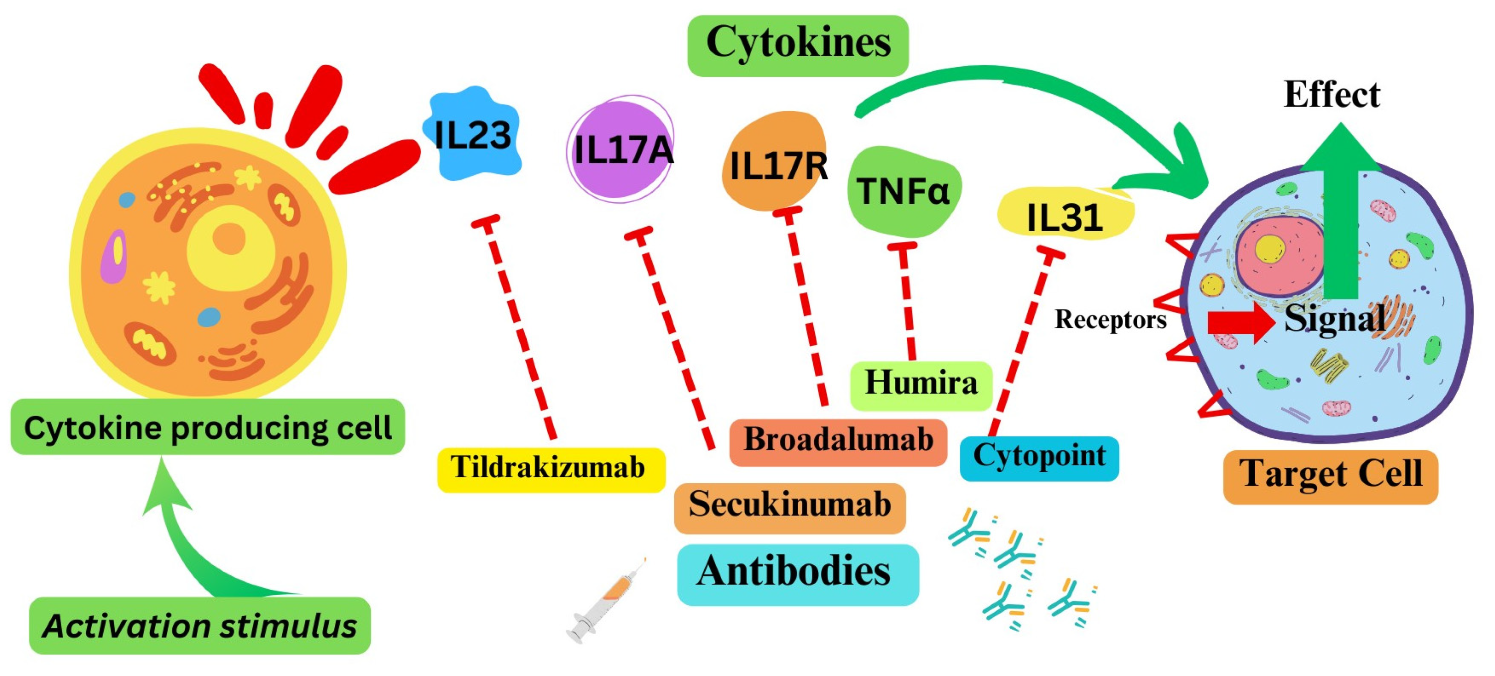 Curroncol 31 00089 g002