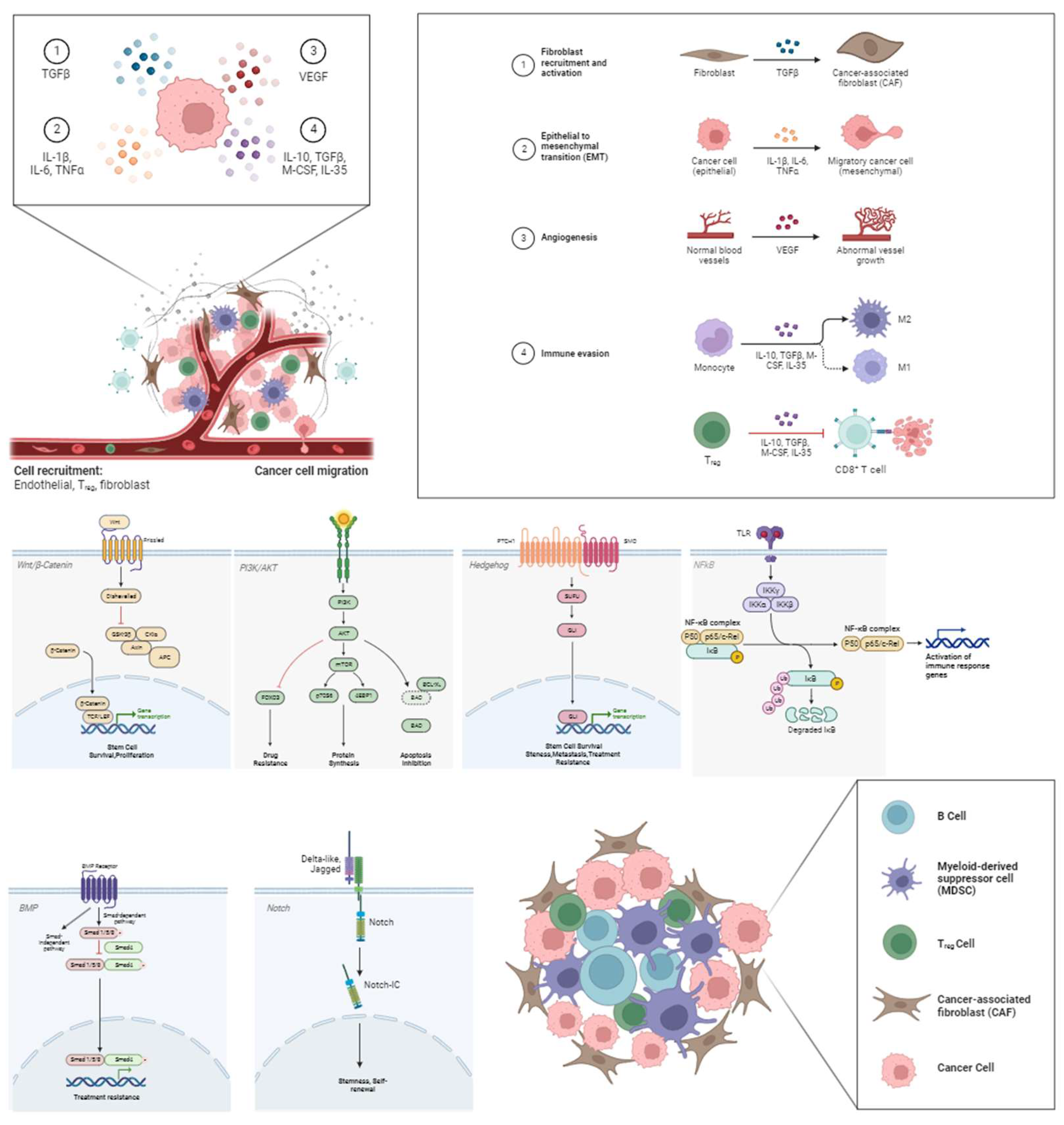 Curroncol 31 00232 g001 Curroncol 31 00232 g001