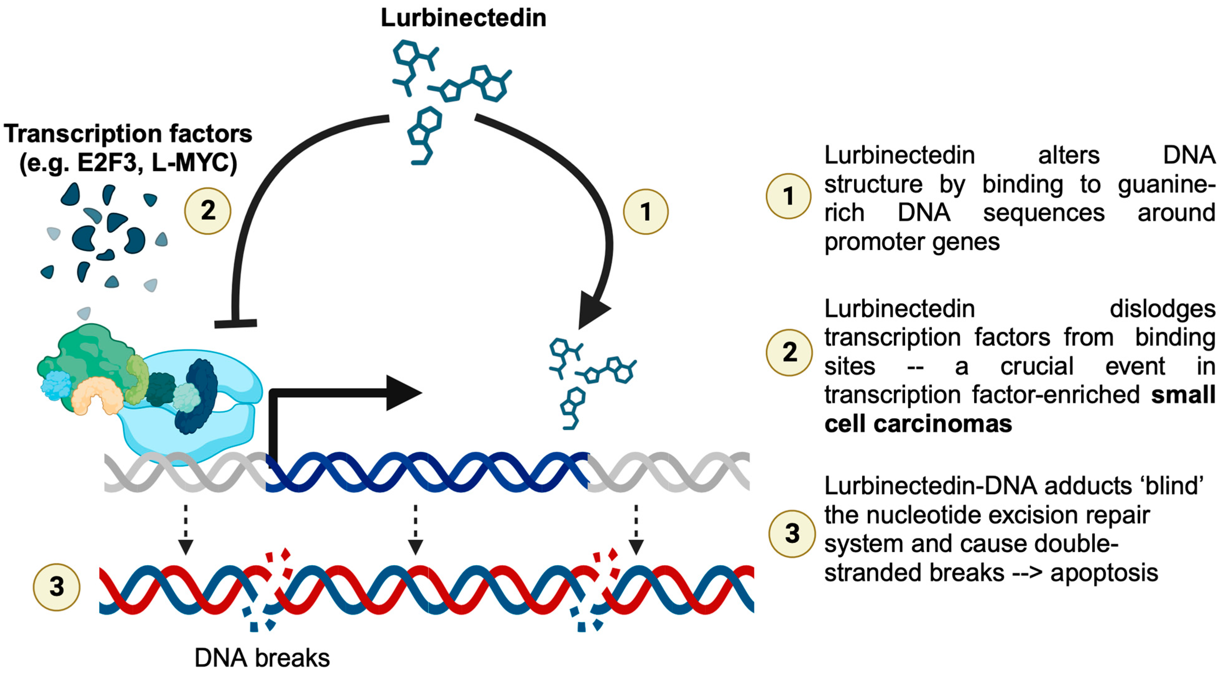 Curroncol 31 00254 g003