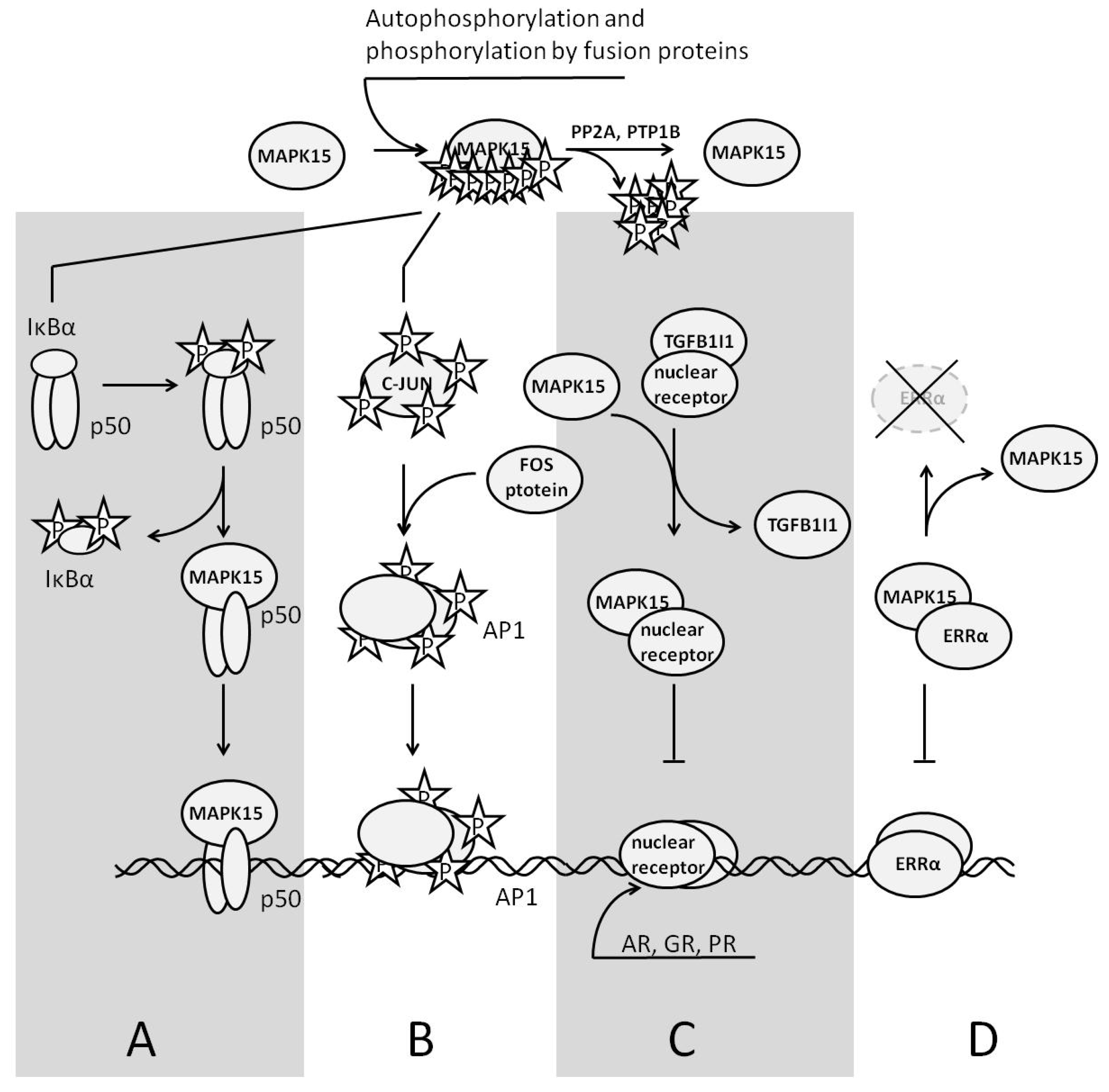Curroncol 31 00360 g004