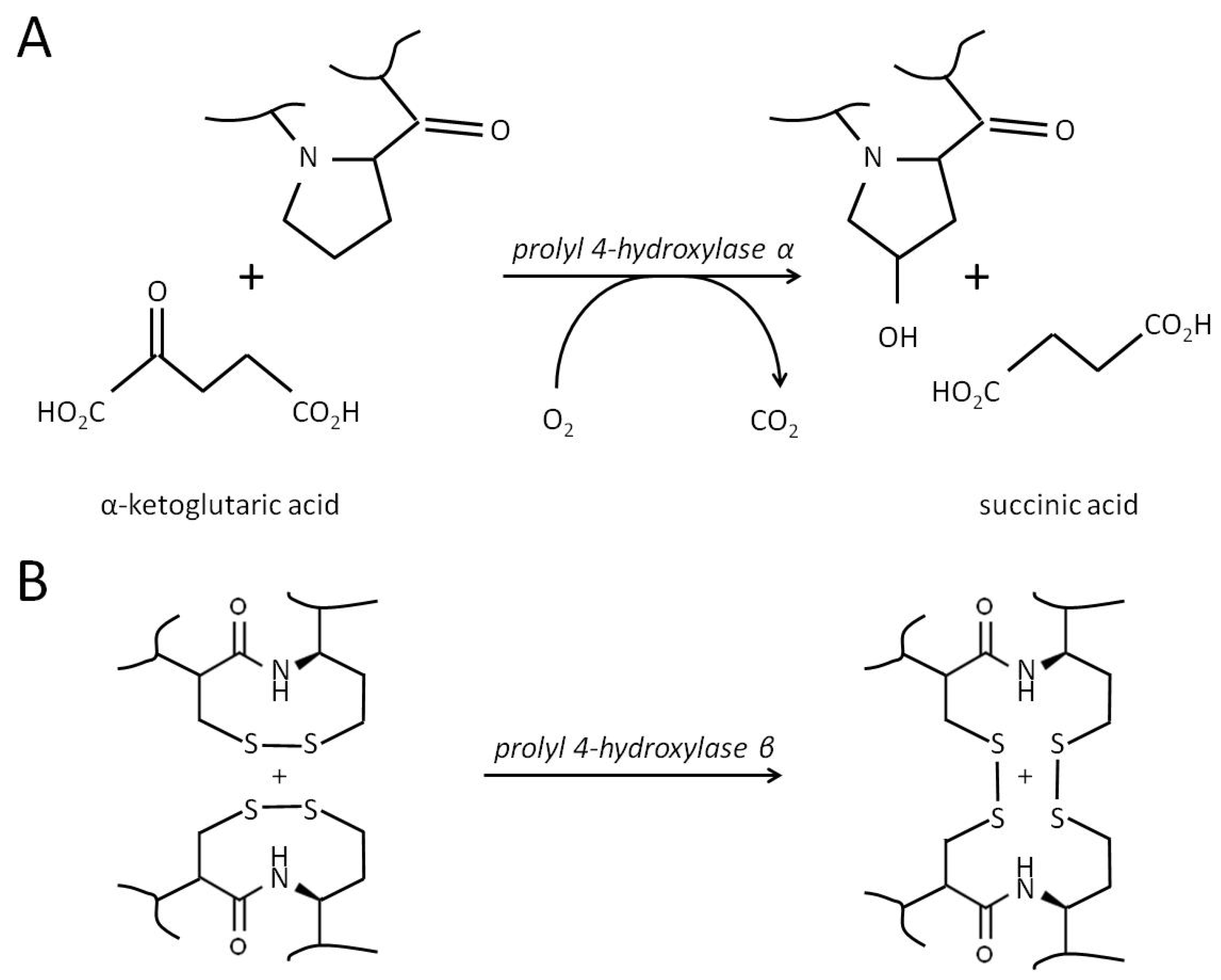Curroncol 31 00360 g005