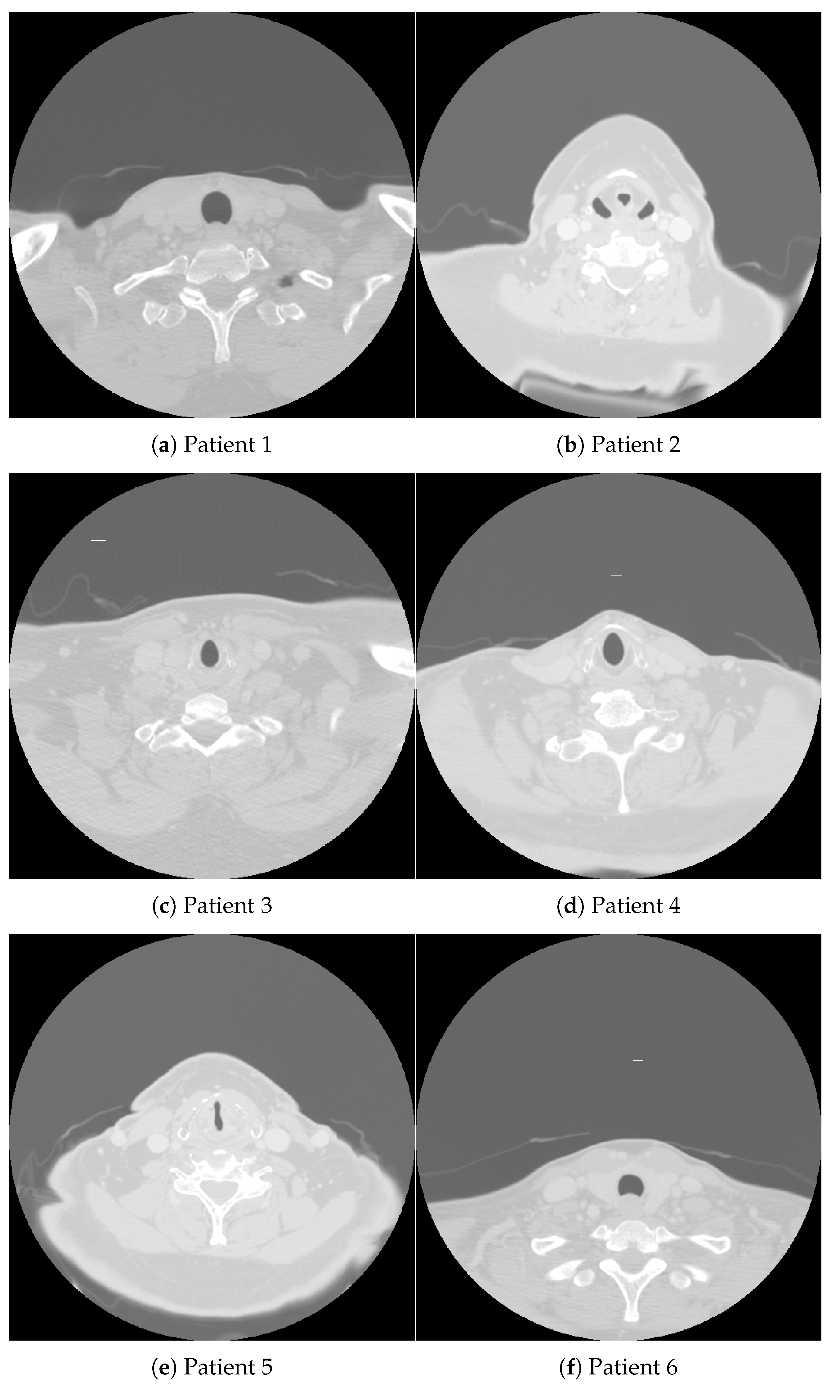 Curroncol 31 00389 g001