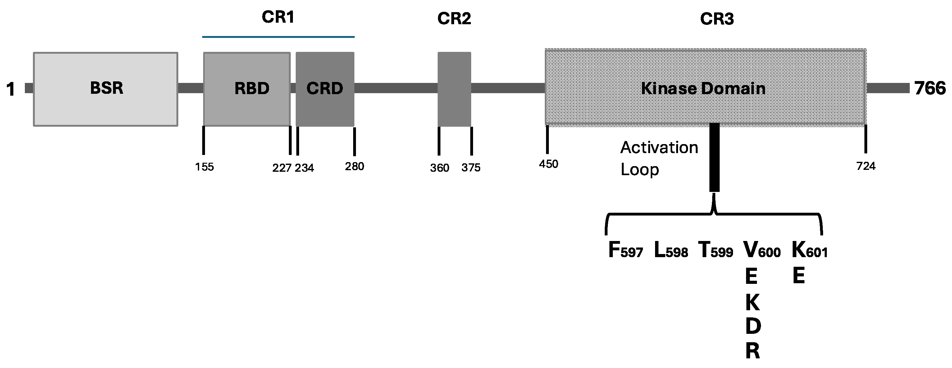 Curroncol 31 00568 g001