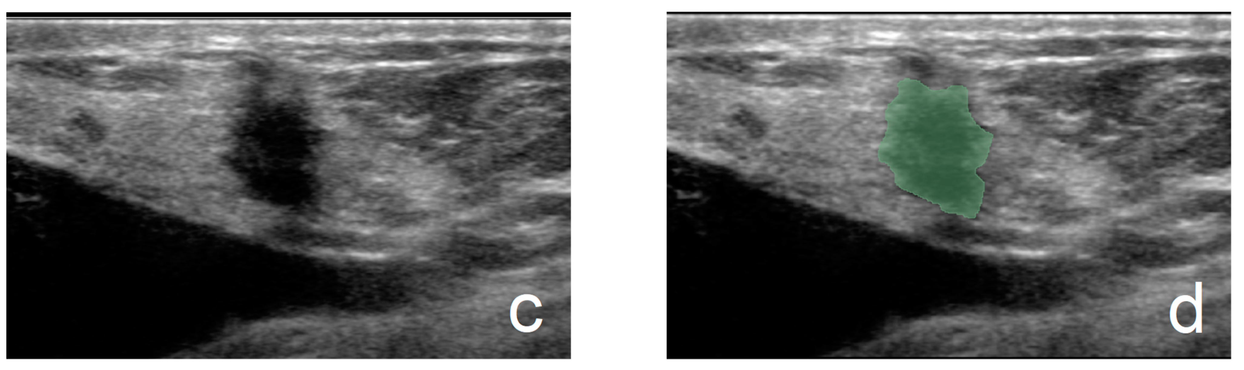 Curroncol 32 00029 g001b