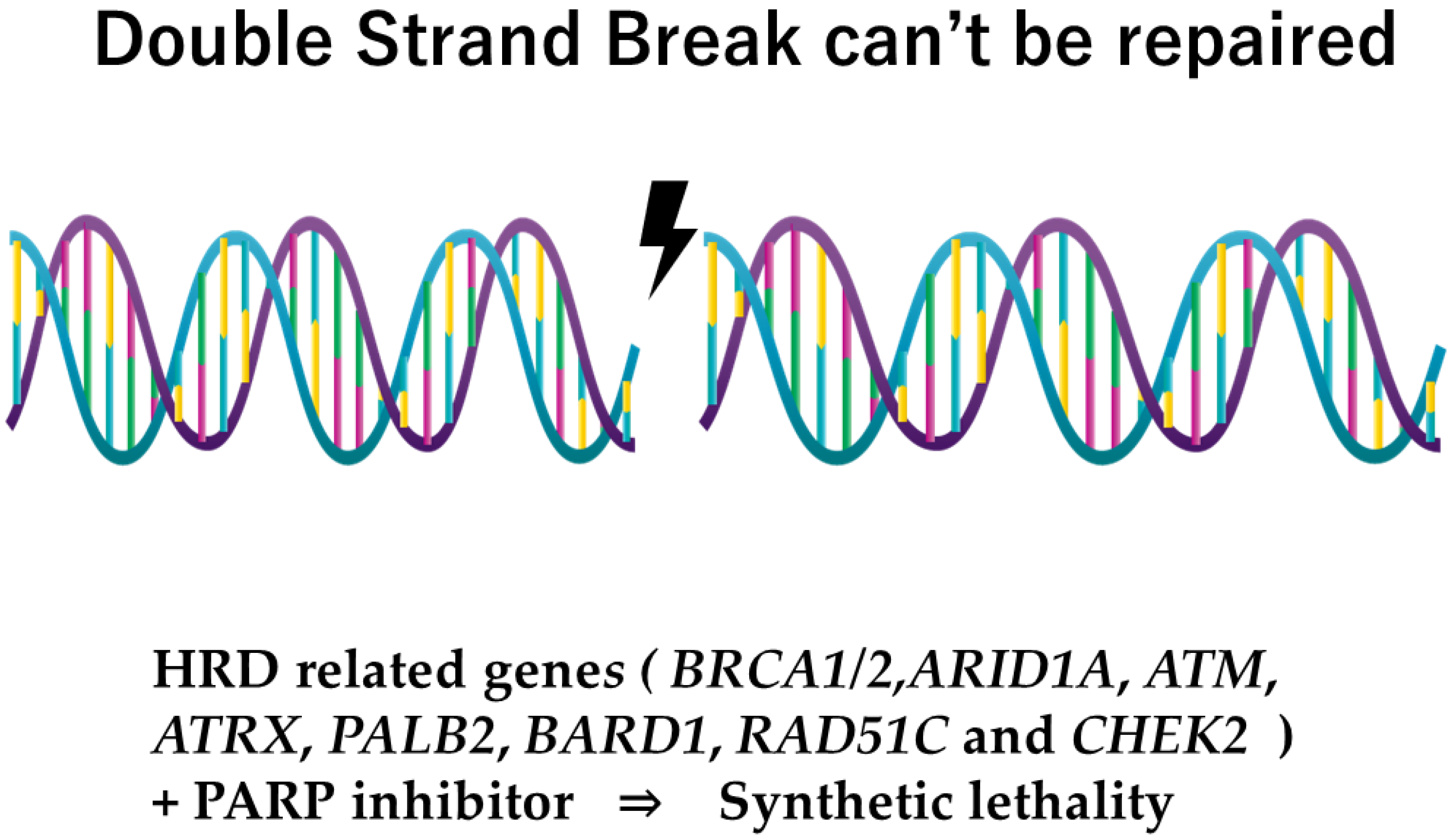 Curroncol 32 00090 g001