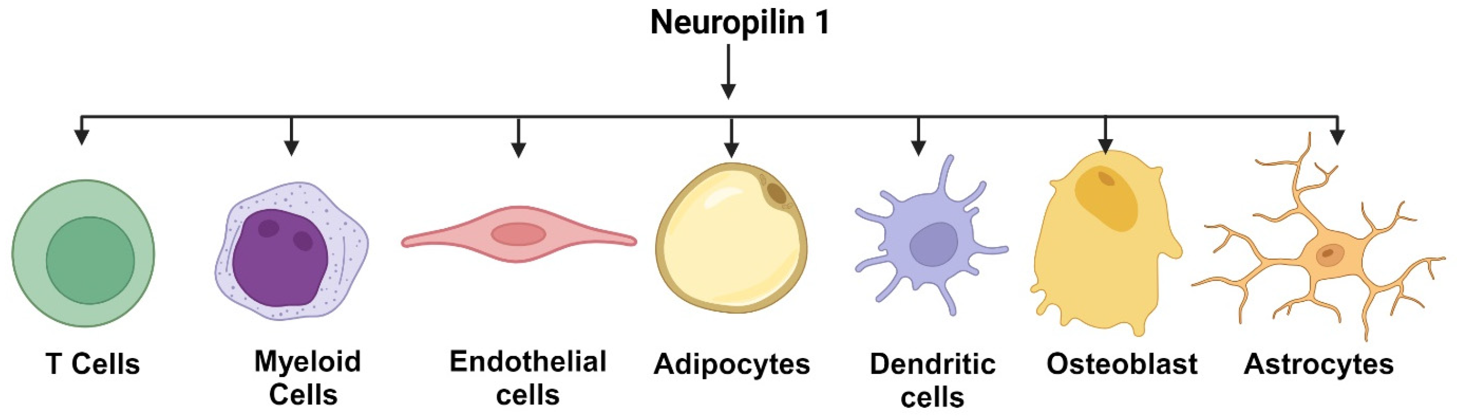 Curroncol 32 00203 g001 Curroncol 32 00203 g001