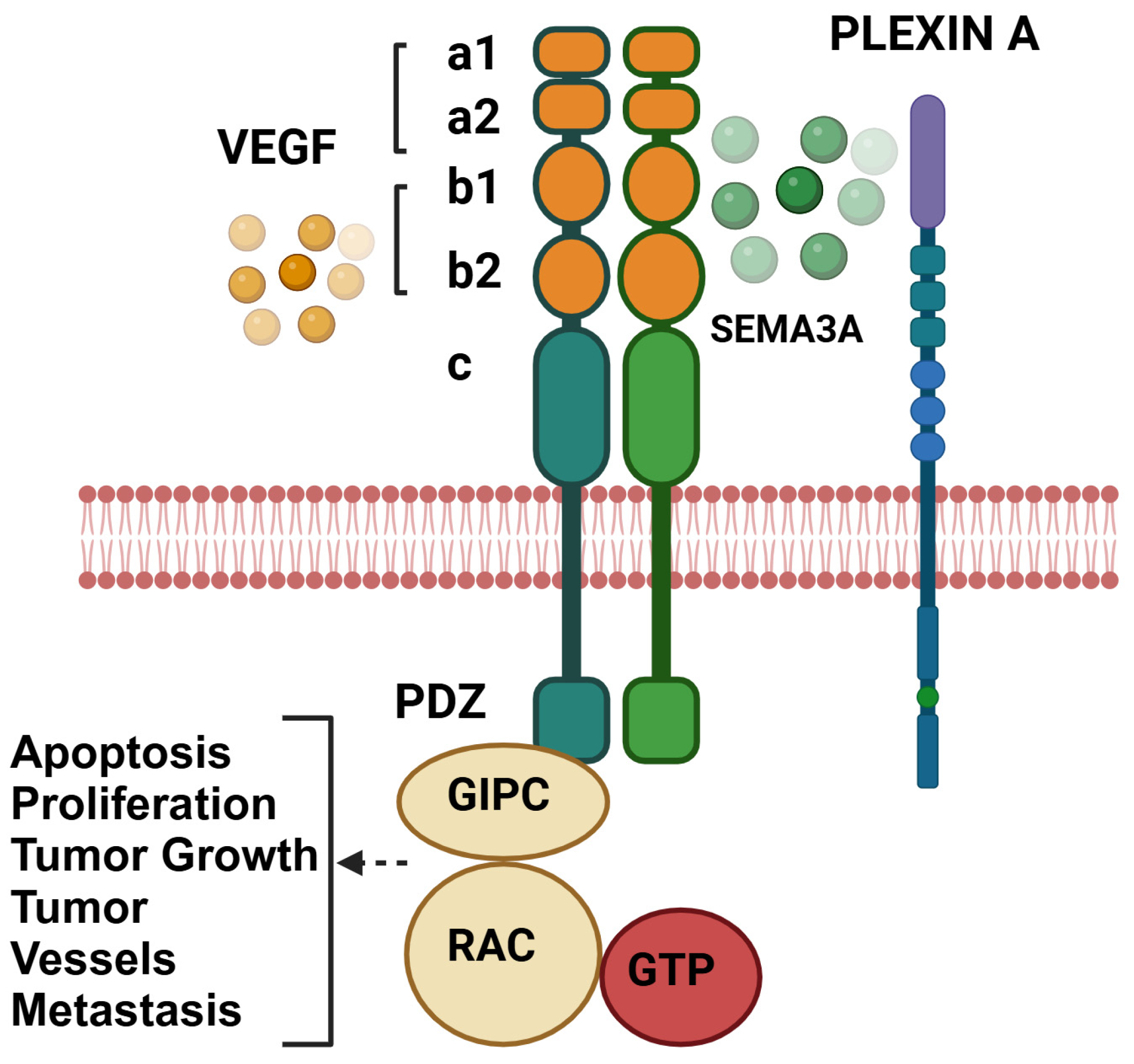 Curroncol 32 00203 g002 Curroncol 32 00203 g002