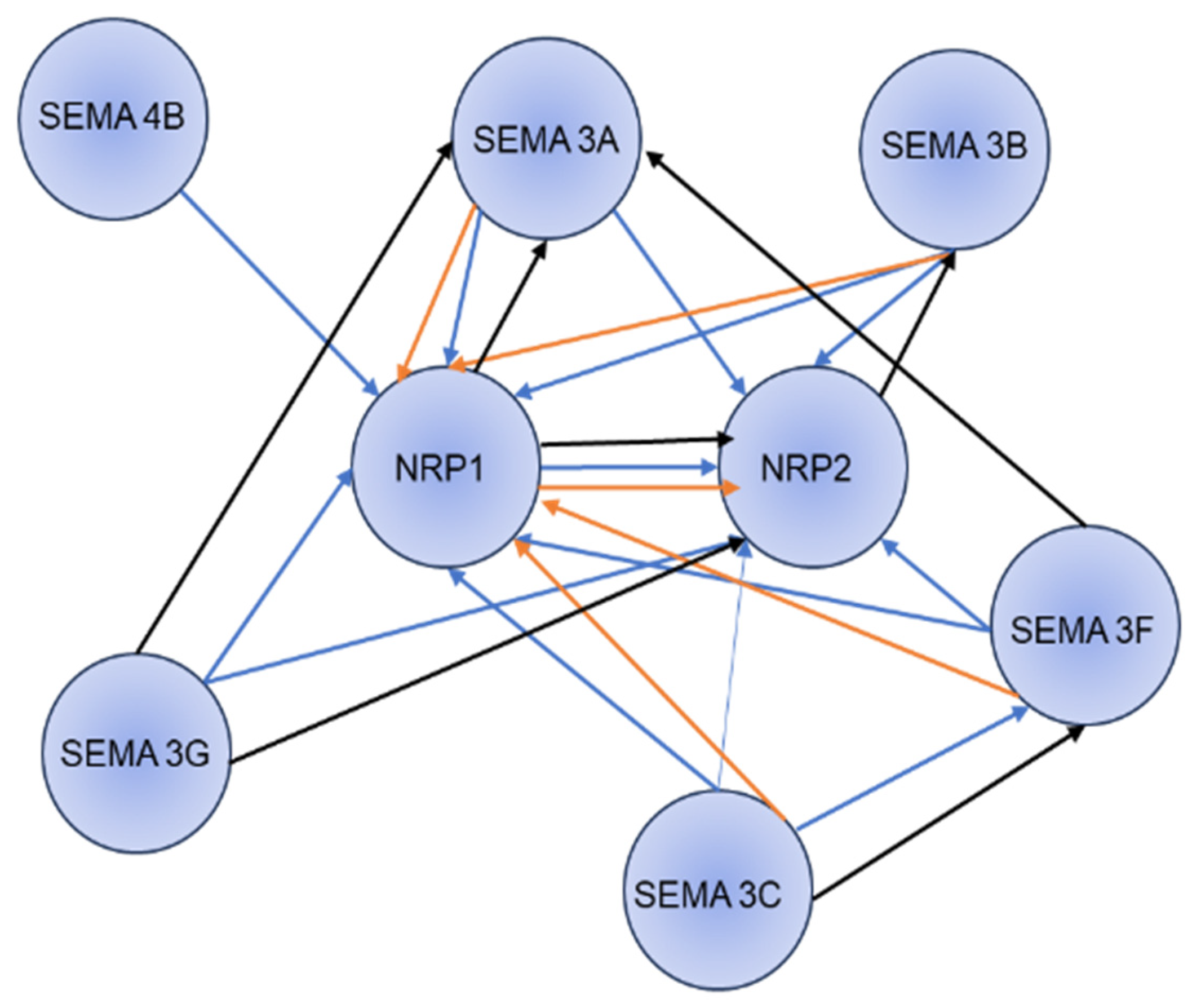 Curroncol 32 00203 g003 Curroncol 32 00203 g003
