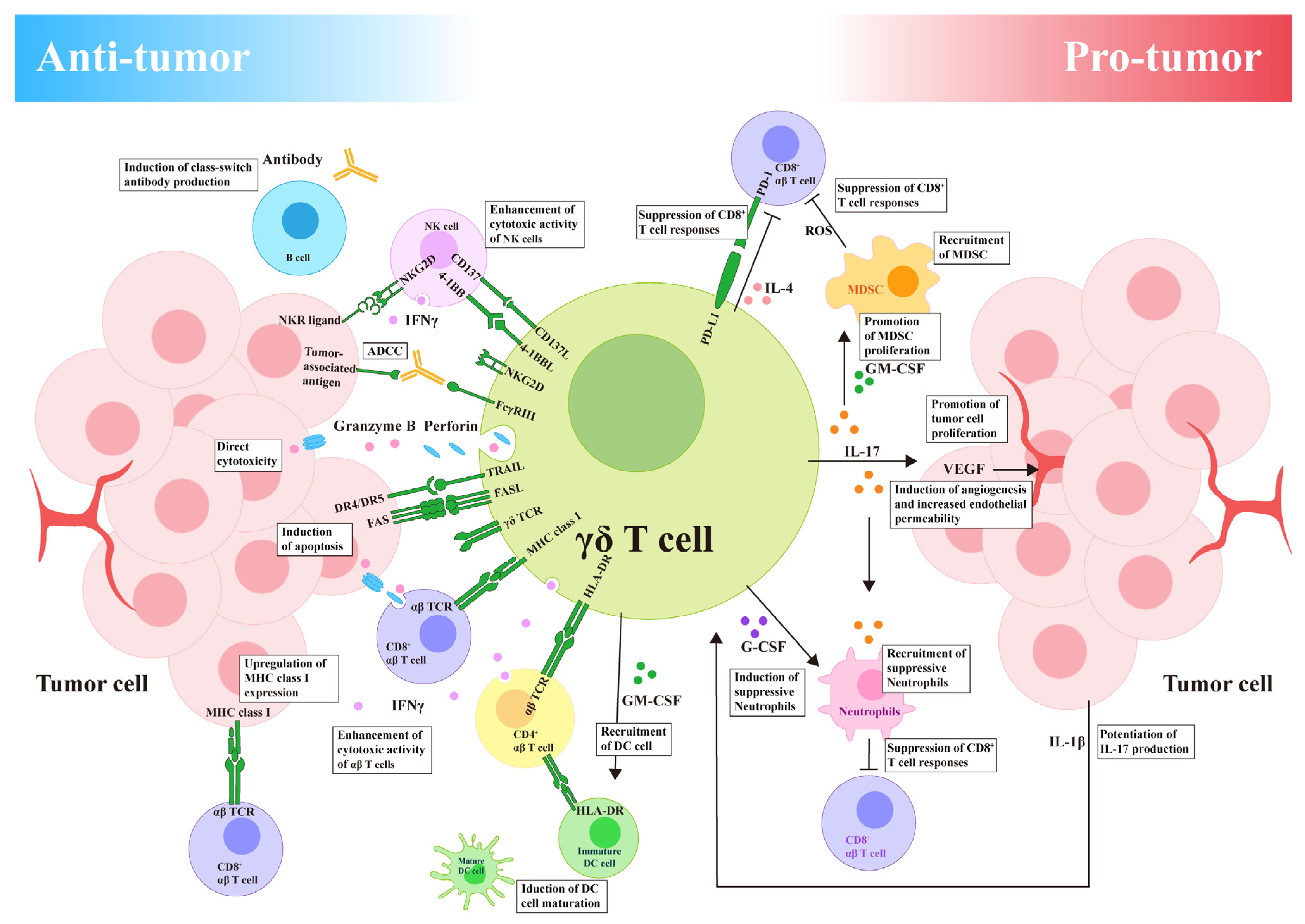 Curroncol 32 00329 g003