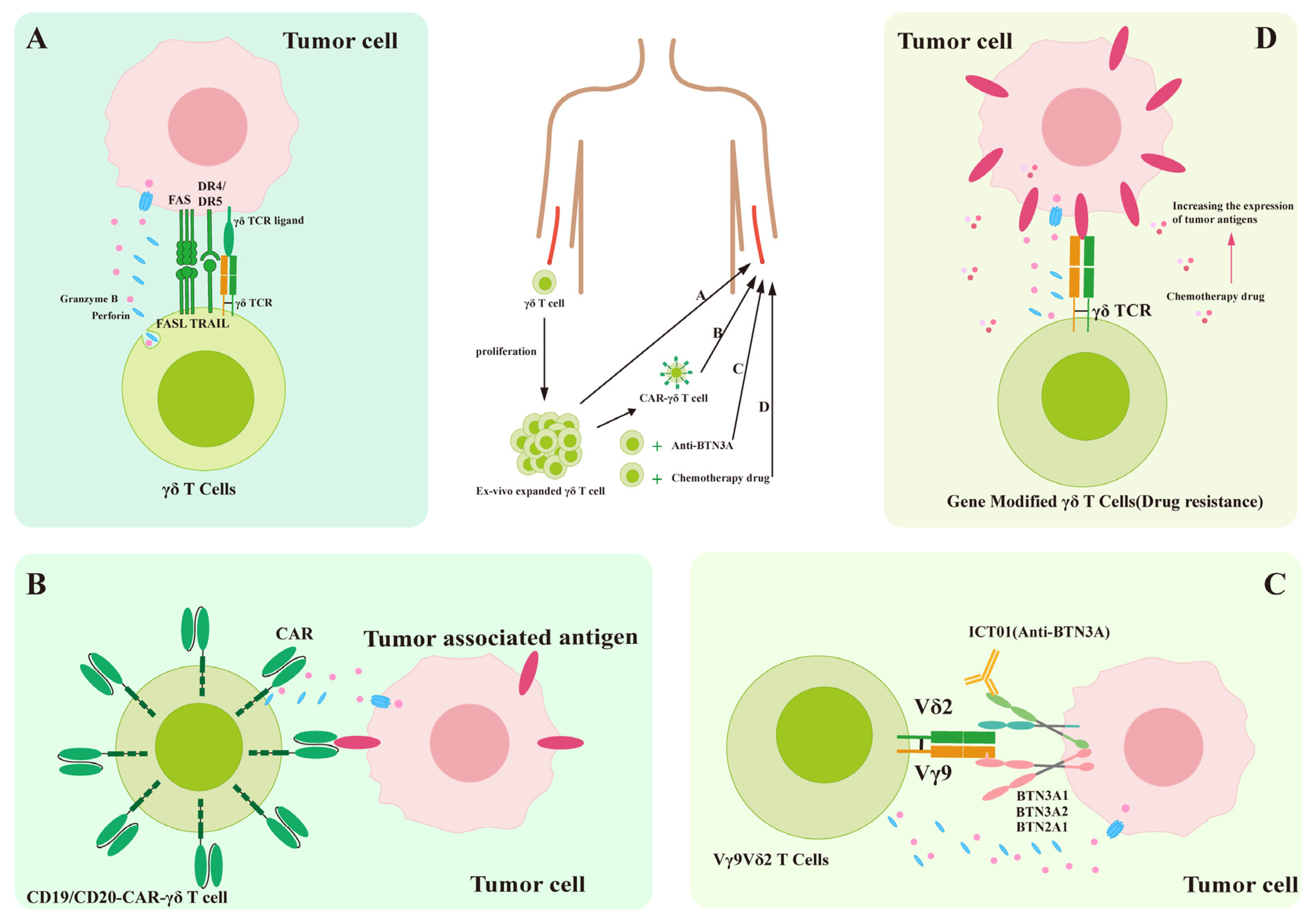 Curroncol 32 00329 g004