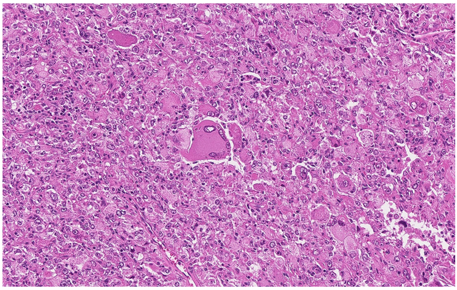 Curroncol 32 00330 g004