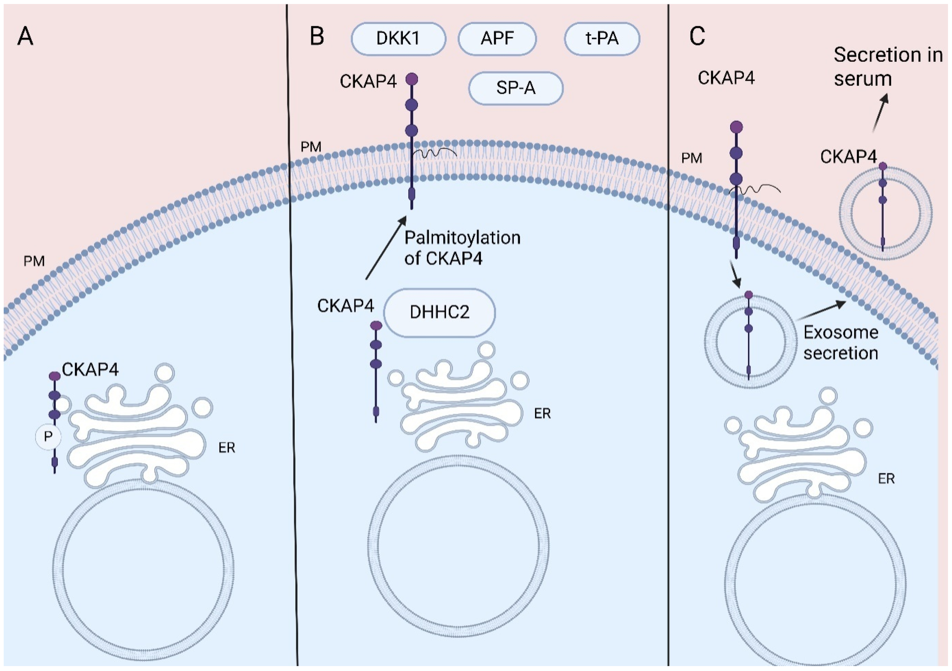 Curroncol 32 00561 g001 Curroncol 32 00561 g001