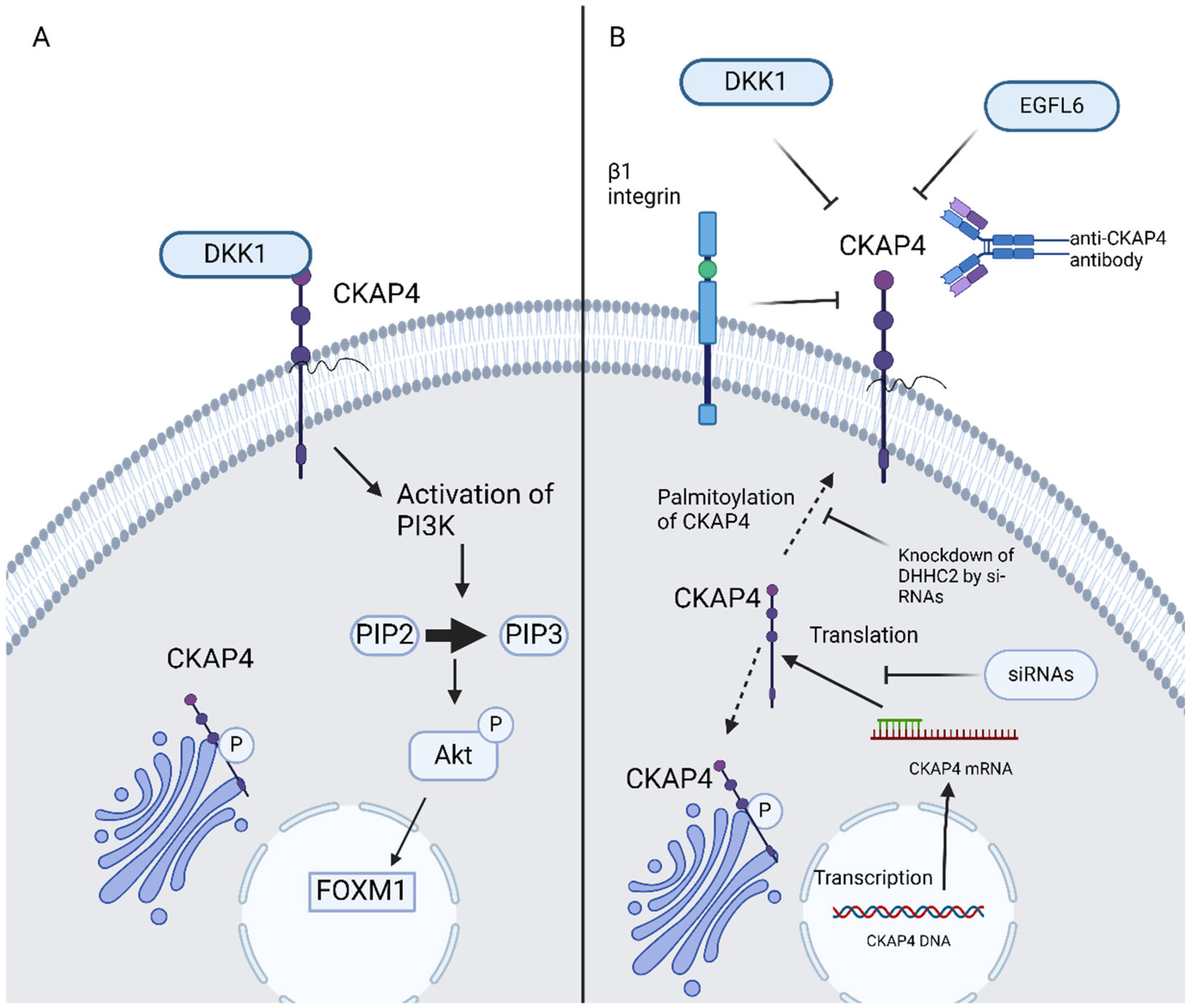 Curroncol 32 00561 g002 Curroncol 32 00561 g002