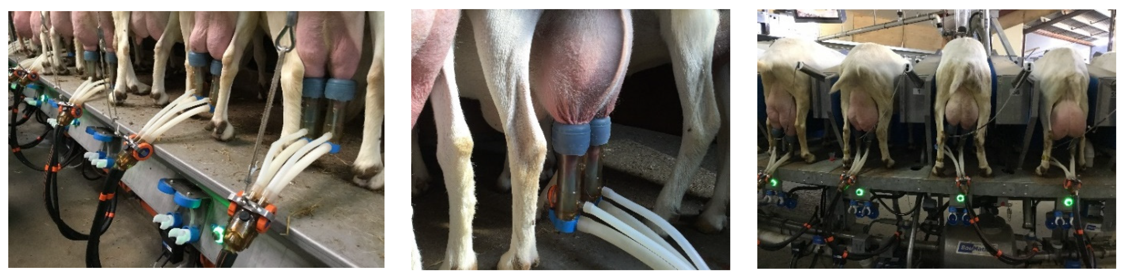 Dairy 04 00002 g002 Dairy 04 00002 g002