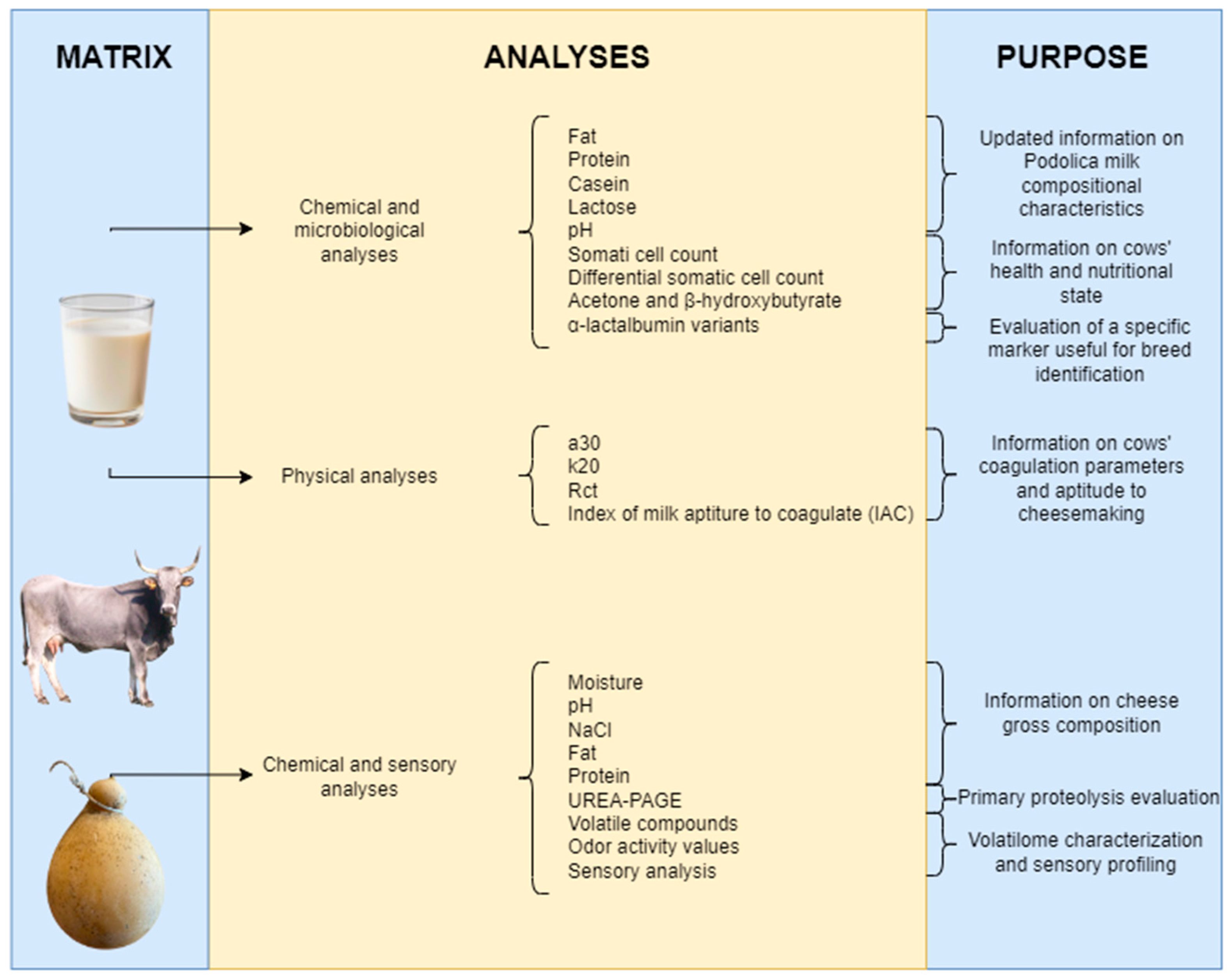 Dairy 04 00032 g001 Dairy 04 00032 g001