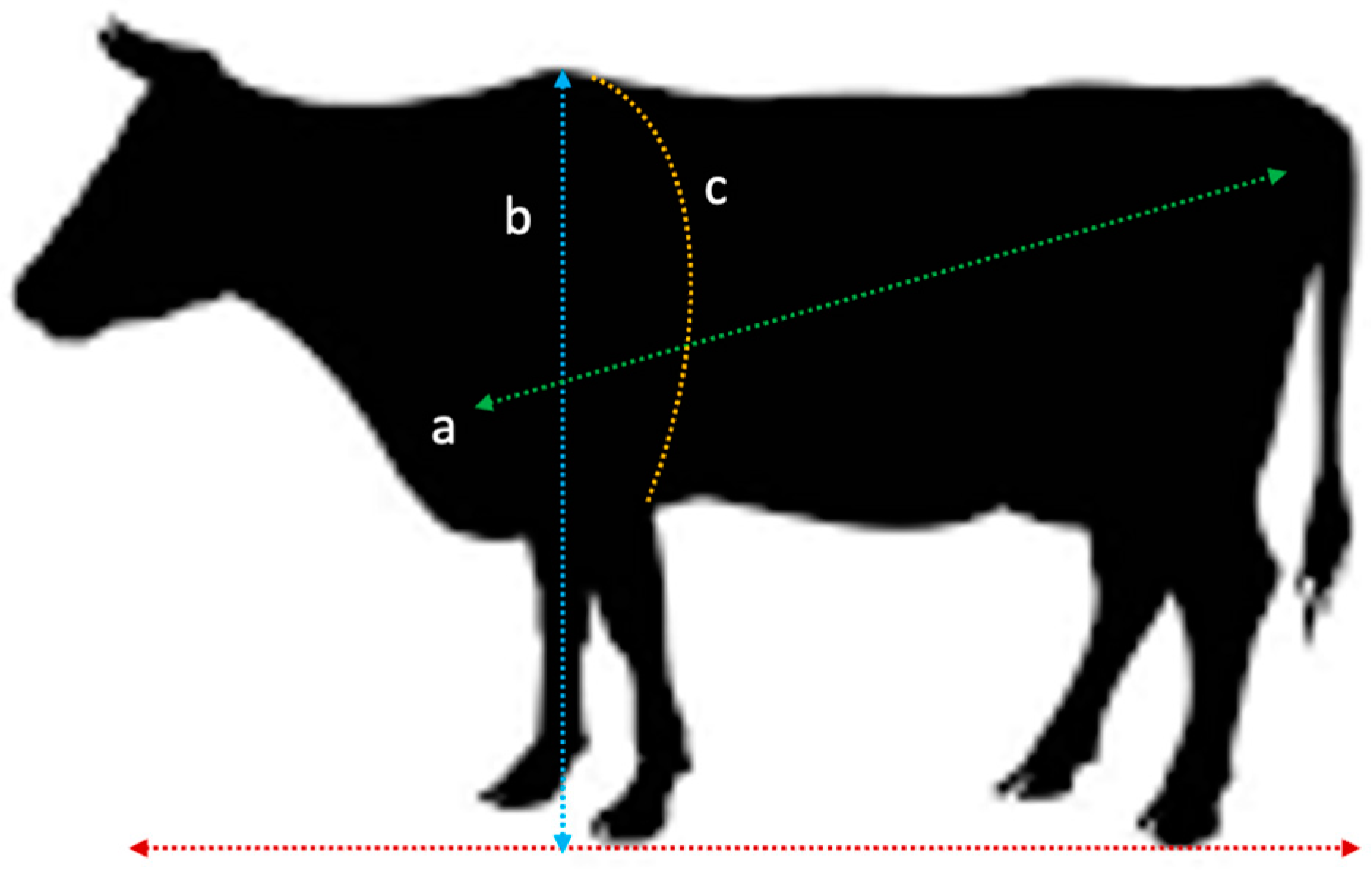 Dairy 05 00012 g002