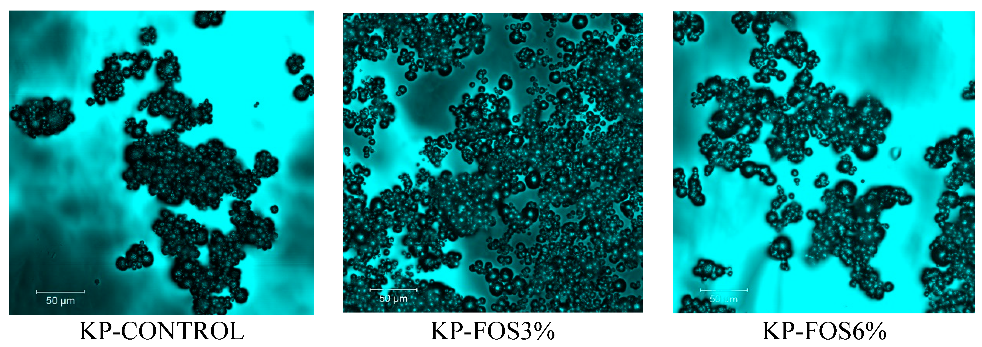 Dairy 06 00009 g010a