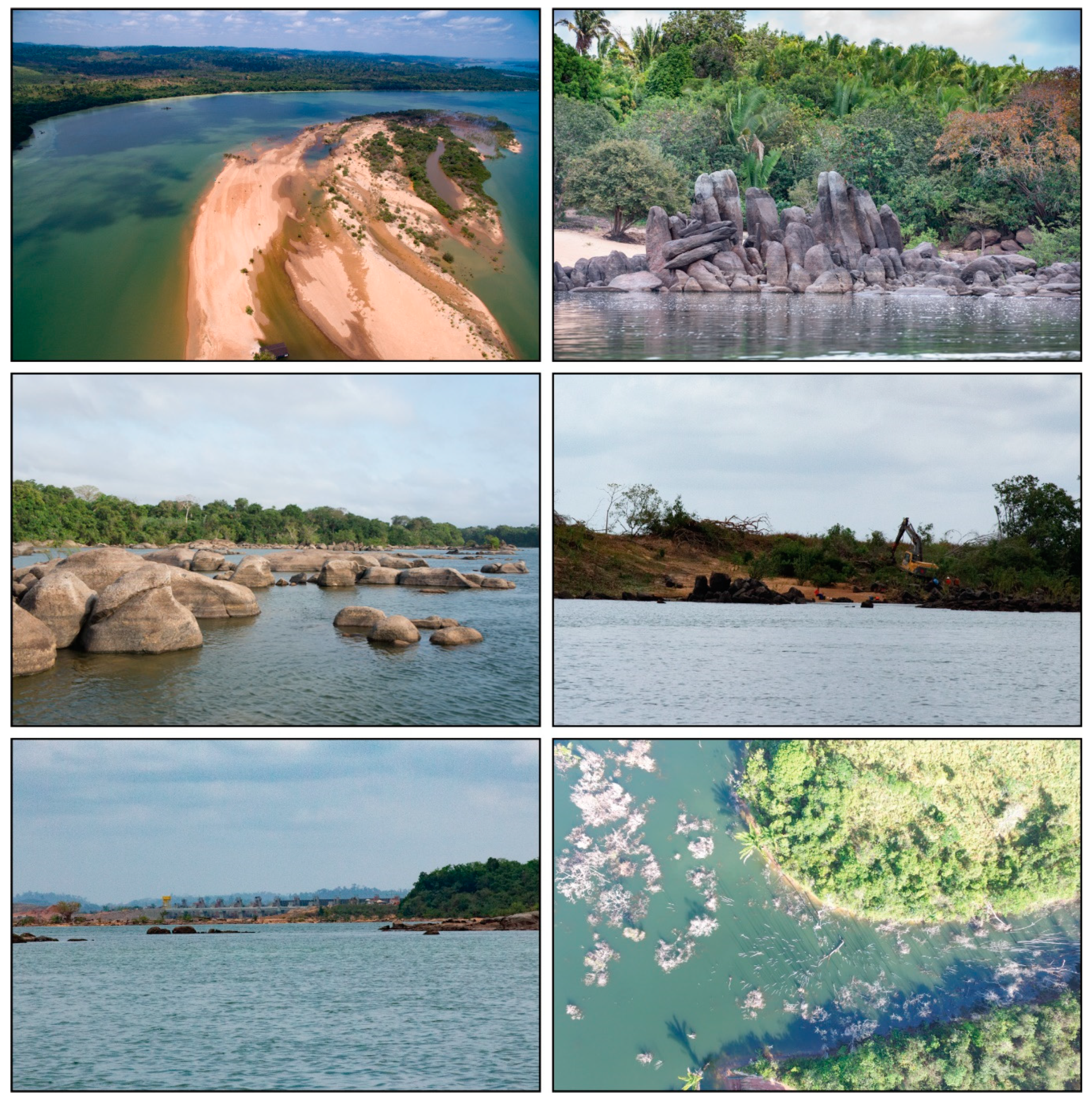 Data | Free Full-Text | High-Resolution Surface Water Classifications of  the Xingu River, Brazil, Pre and Post Operationalization of the Belo Monte  Hydropower Complex | HTML