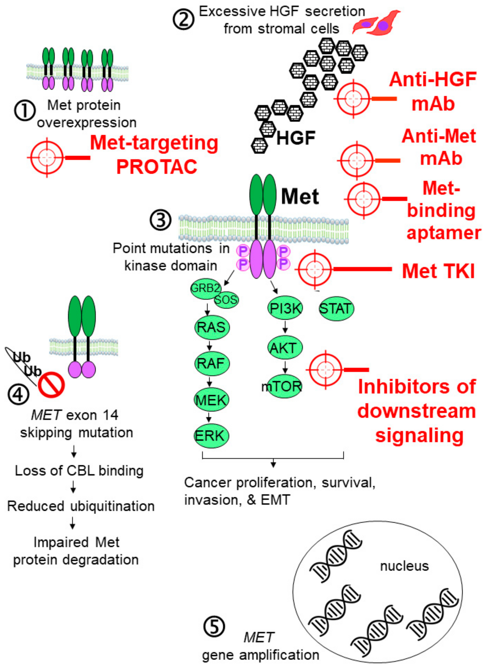 Ddc 02 00031 g001 Ddc 02 00031 g001