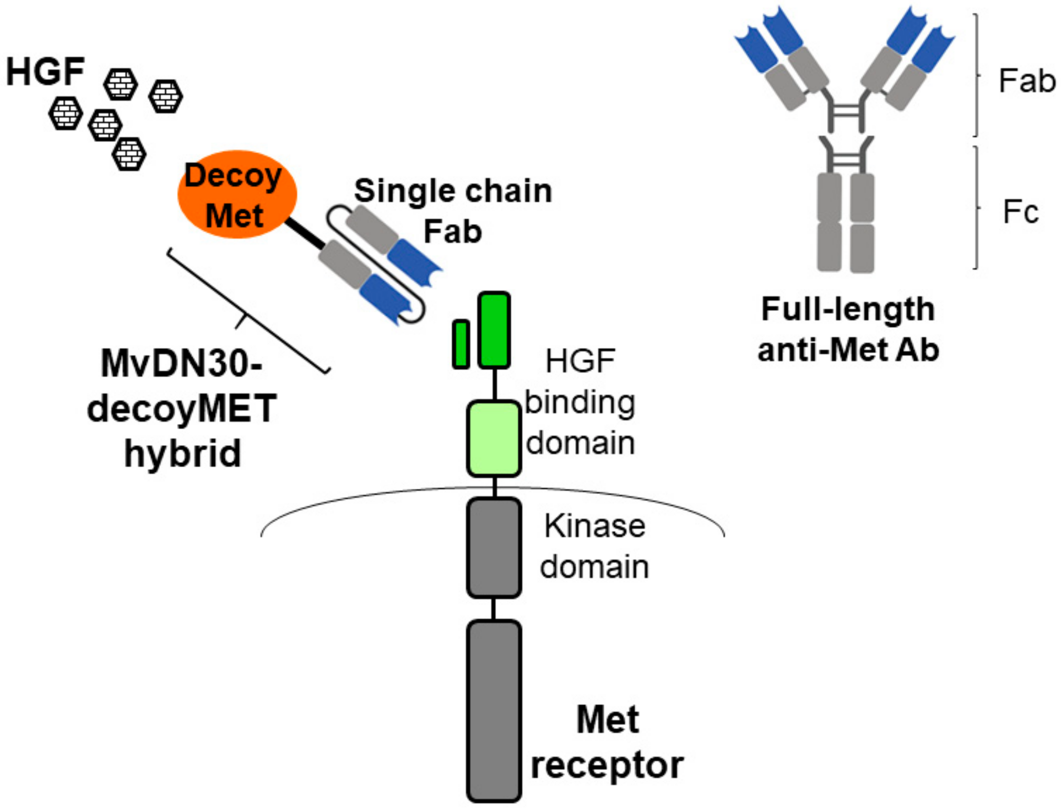 Ddc 02 00031 g002 Ddc 02 00031 g002
