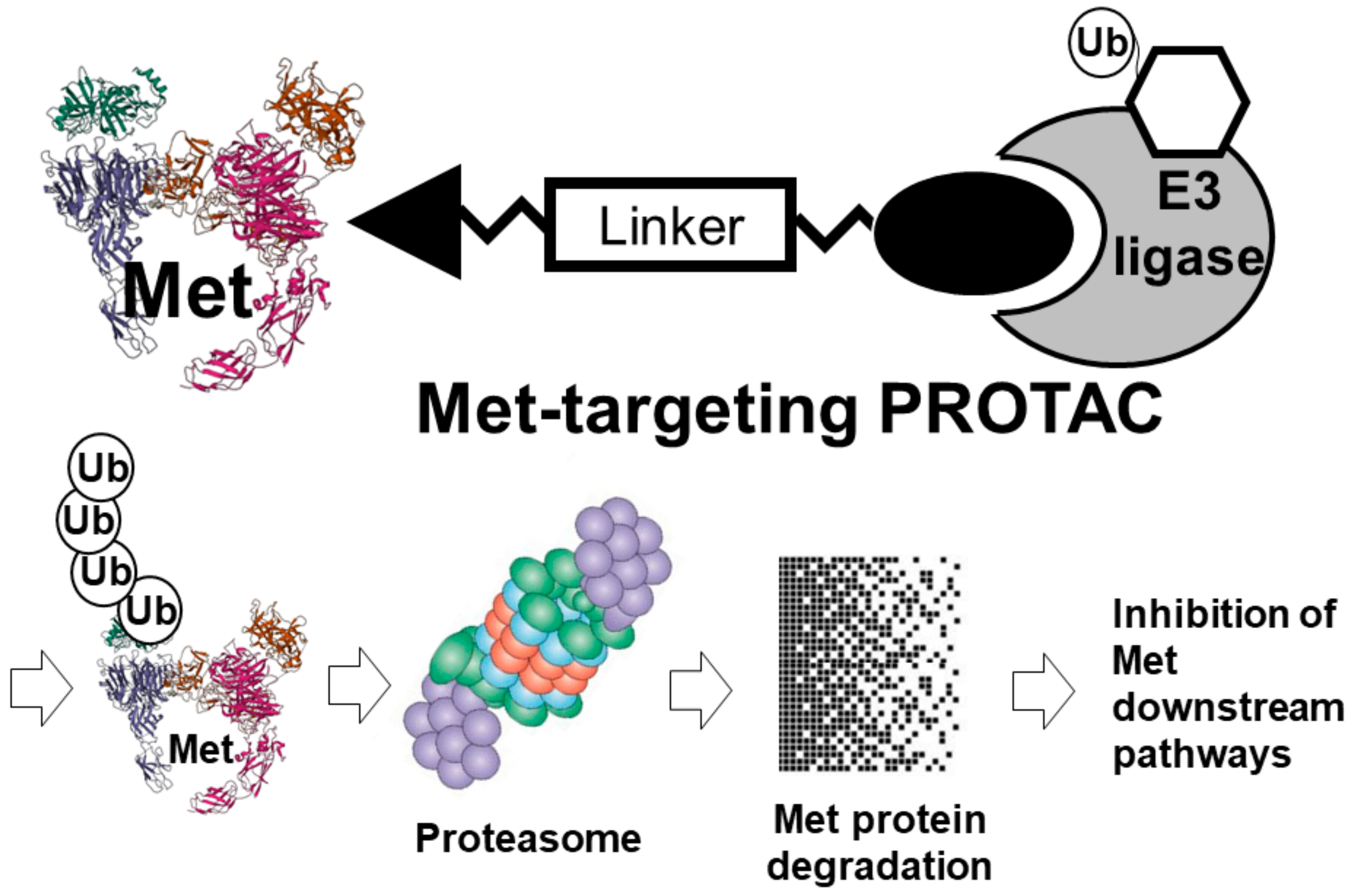Ddc 02 00031 g004 Ddc 02 00031 g004