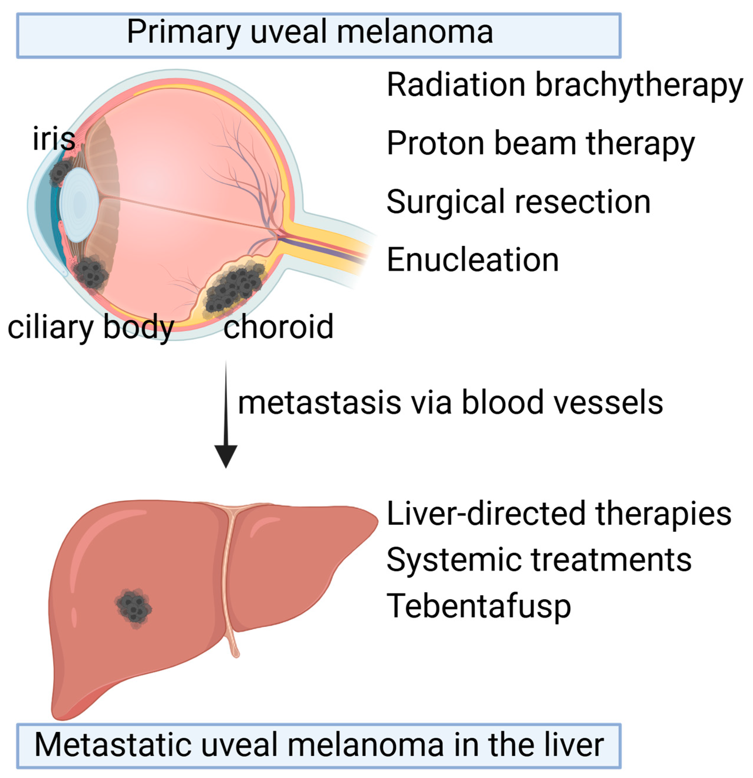 Ddc 04 00014 g001 Ddc 04 00014 g001