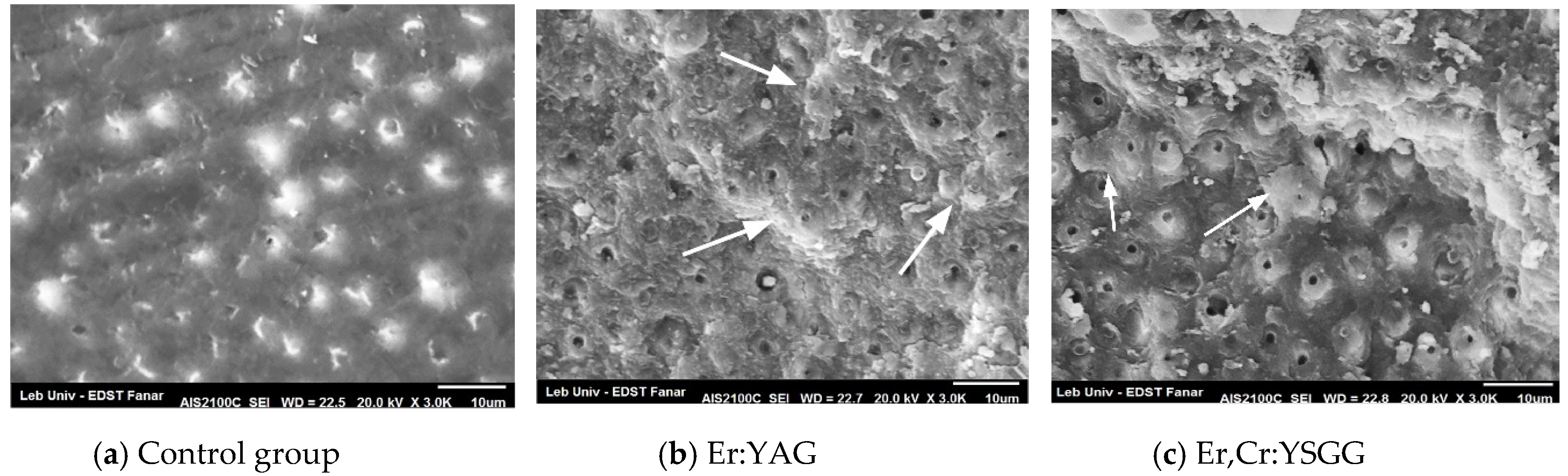 Dentistry 08 00066 g003 Dentistry 08 00066 g003