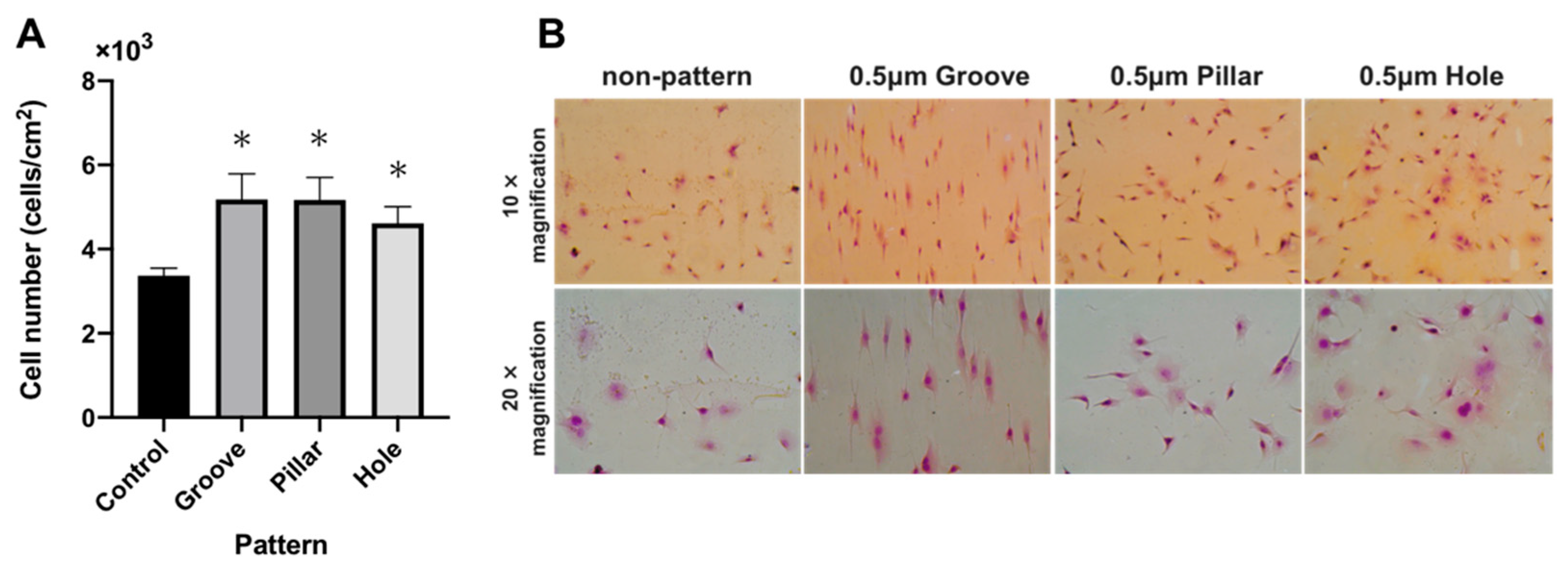Dentistry 09 00124 g006