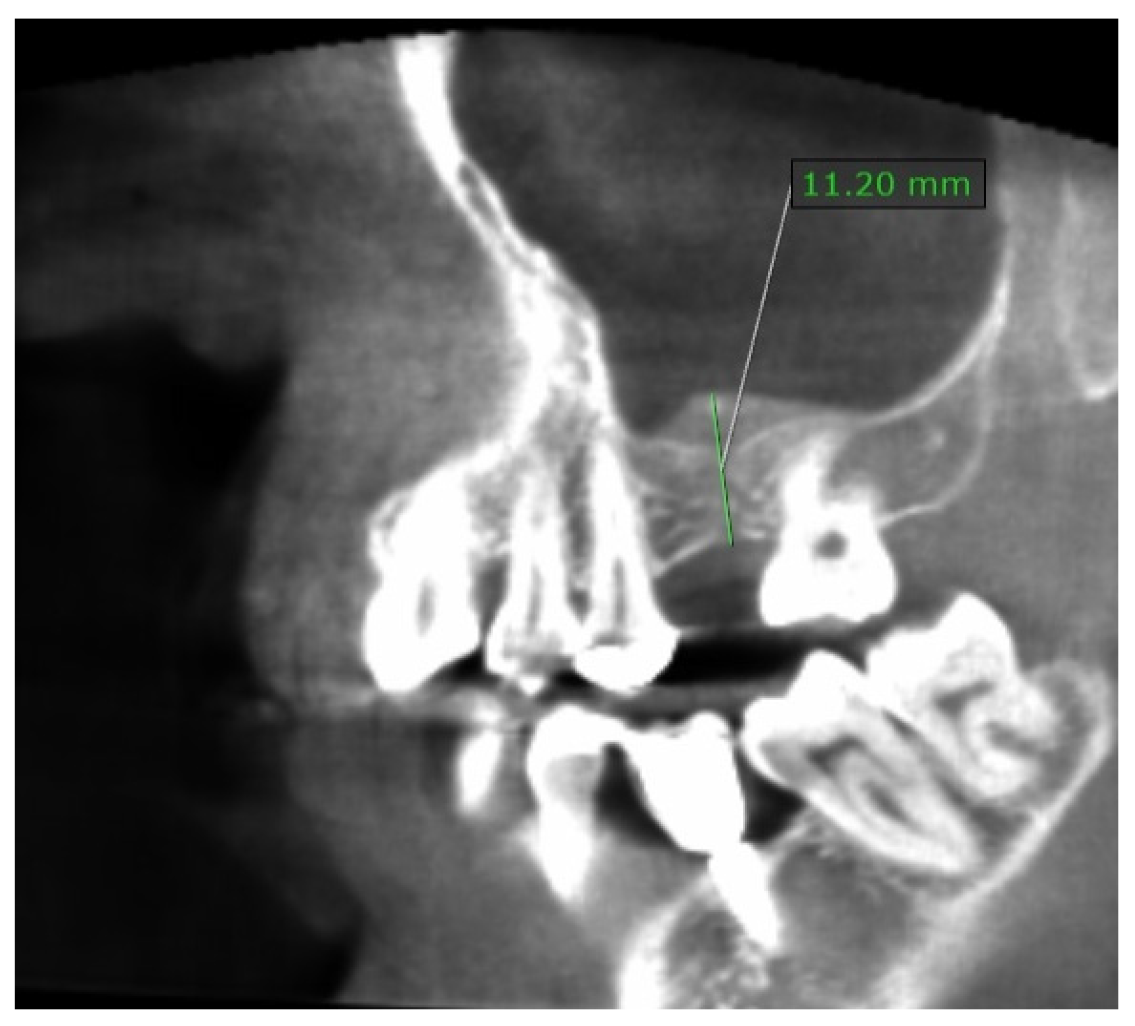 Dentistry 10 00058 g002