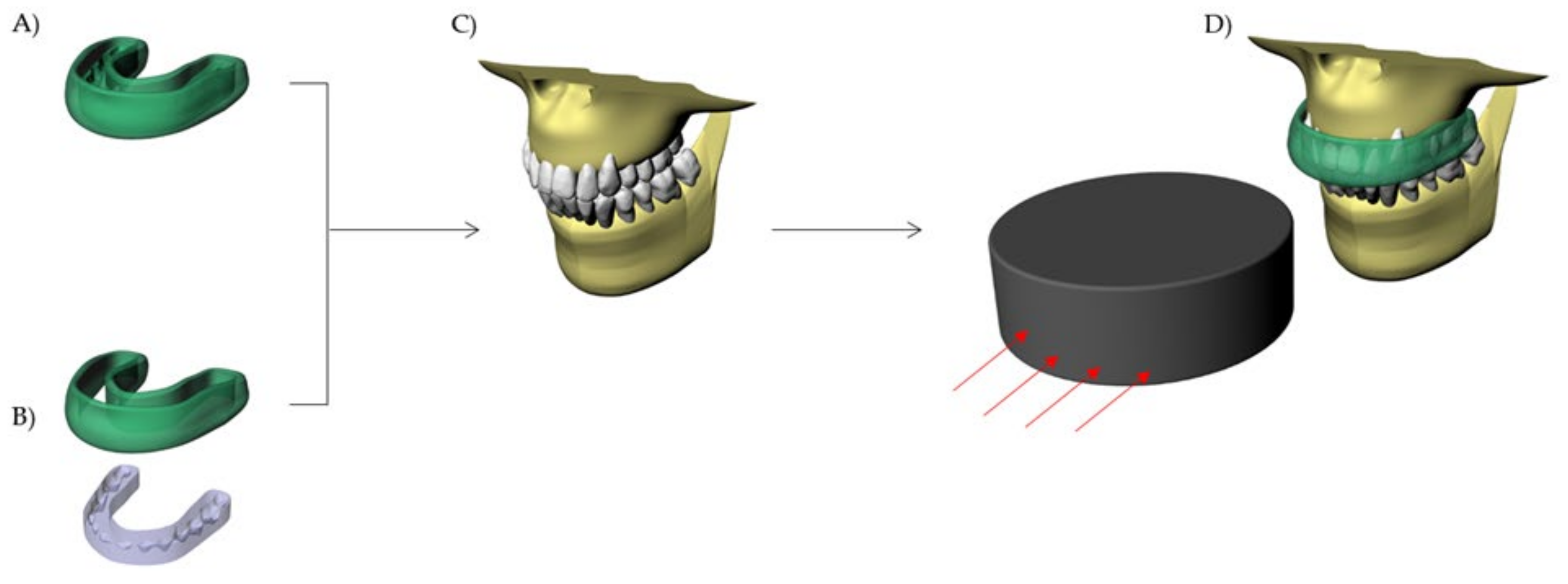 Dentistry 10 00065 g002 Dentistry 10 00065 g002