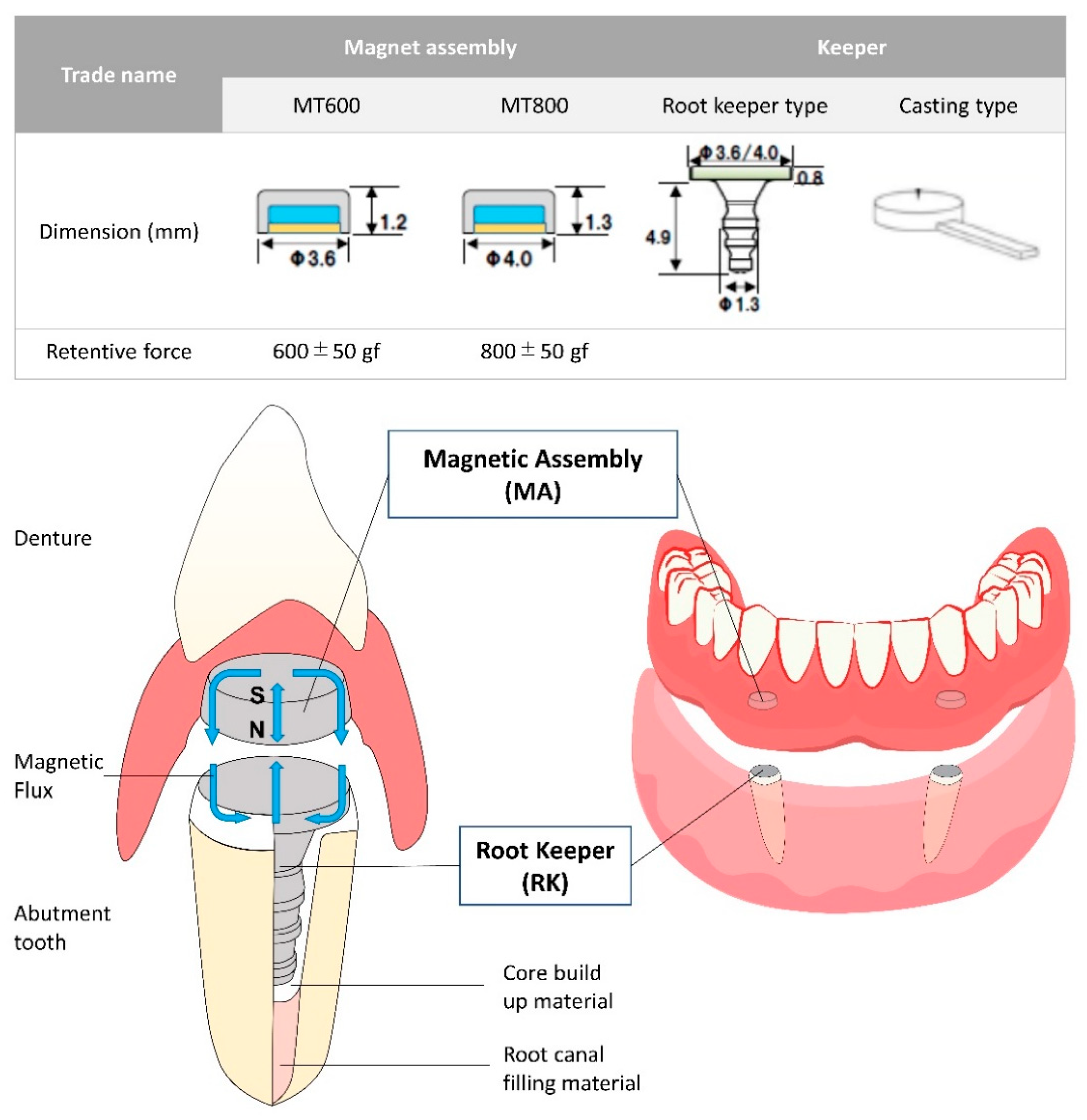 Dentistry Journal | Free Full-Text | Novel Magnetic Attachment System  Manufactured Using High-Frequency Heat Treatment and Stamp Technique:  Introduction and Basic Performance