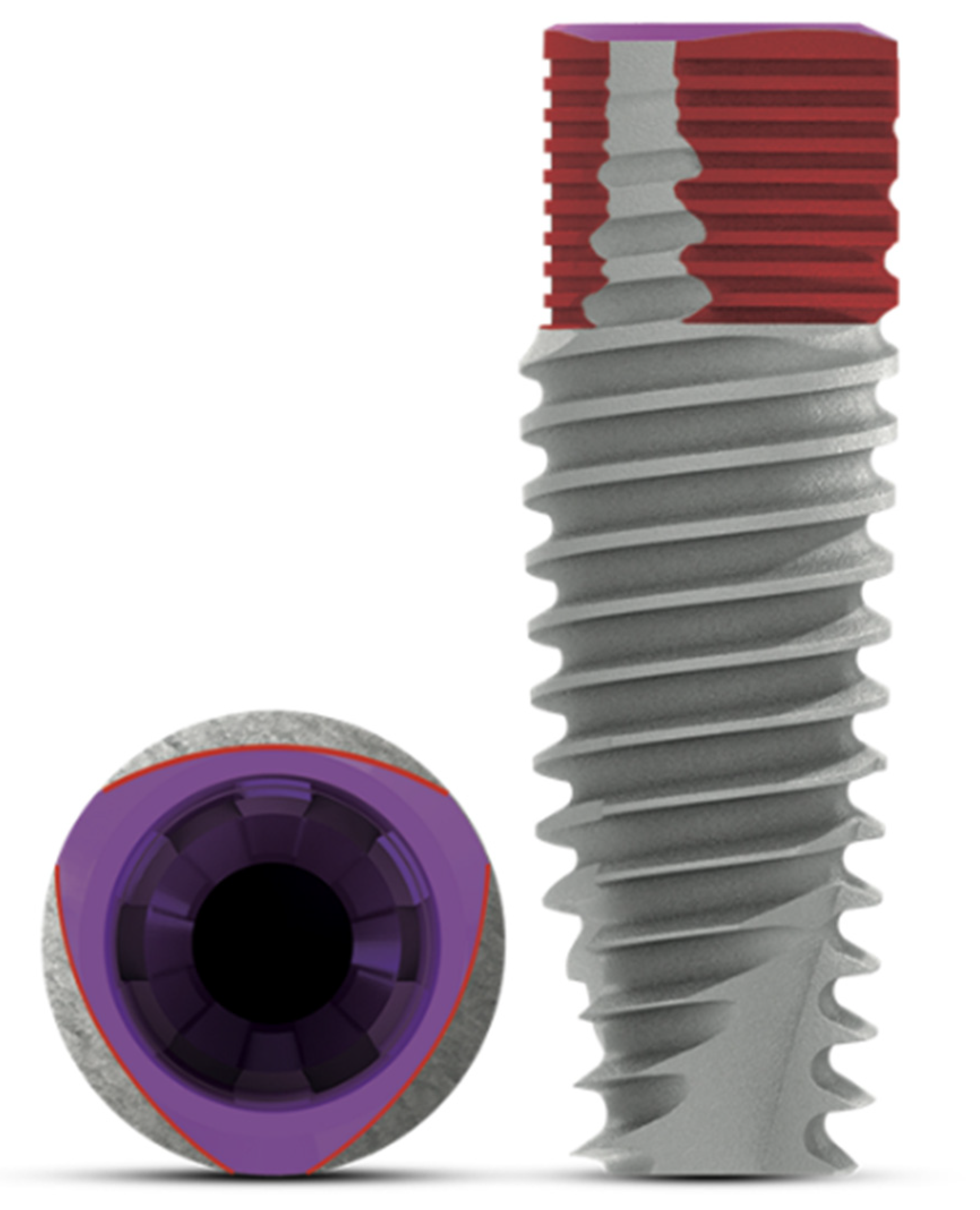 Dentistry 10 00113 g001 Dentistry 10 00113 g001