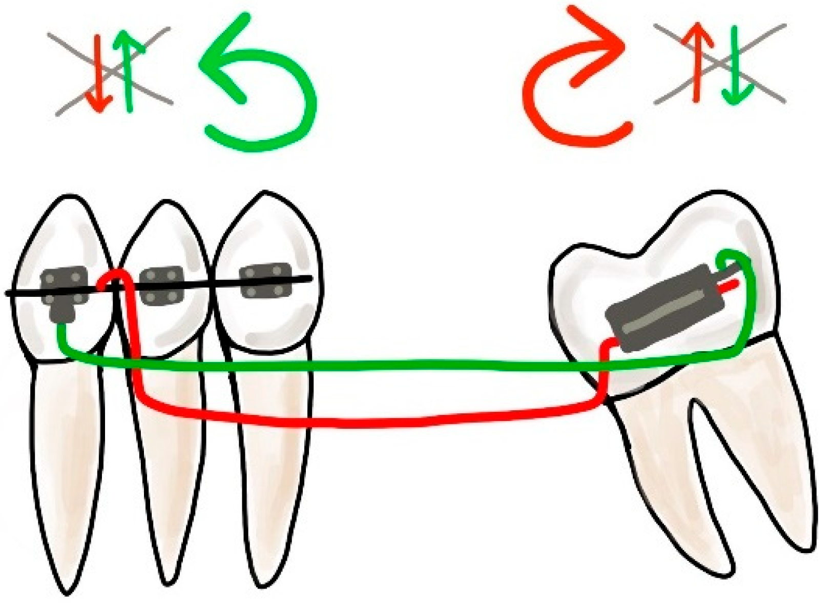Dentistry 10 00135 g013 Dentistry 10 00135 g013