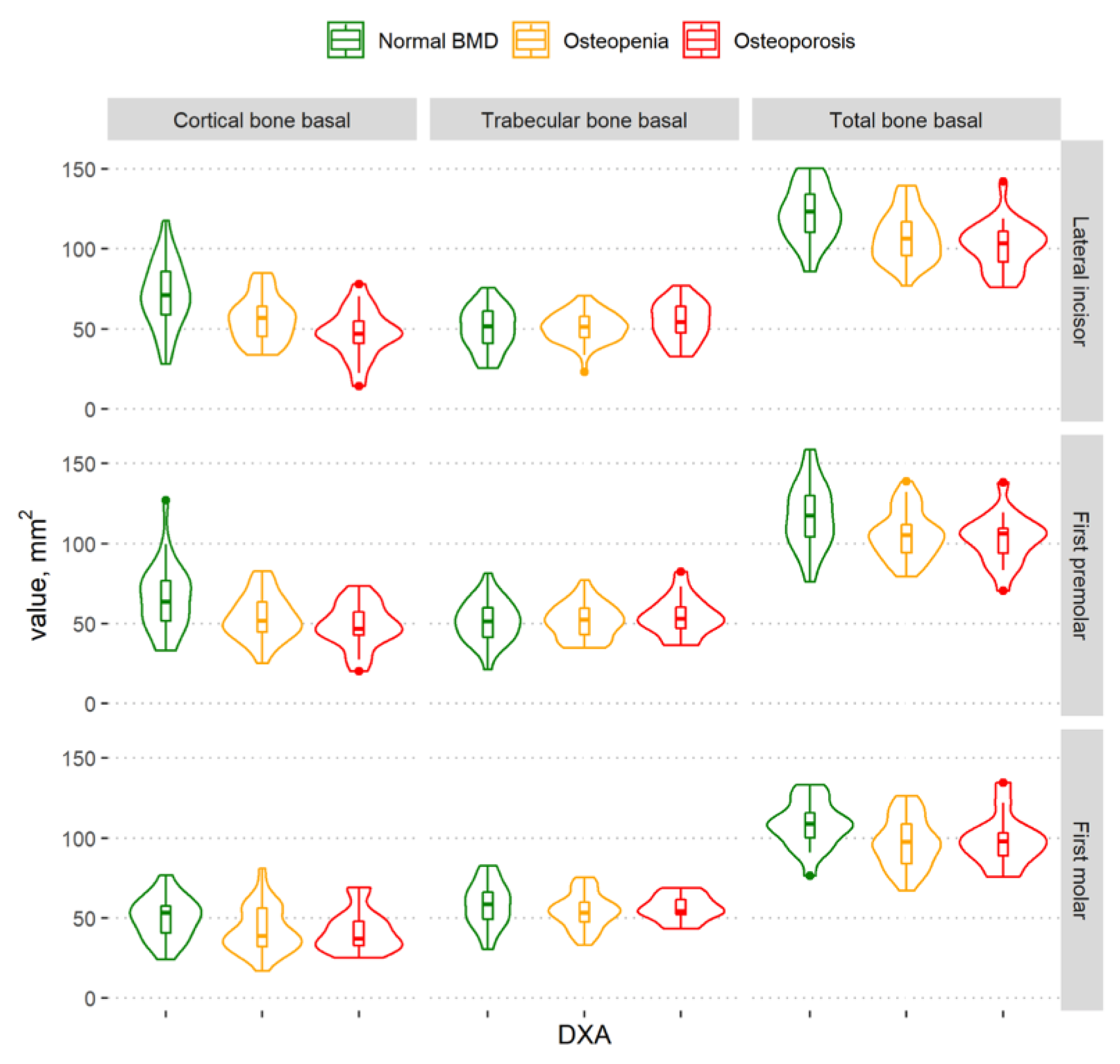 Dentistry 11 00017 g005 Dentistry 11 00017 g005