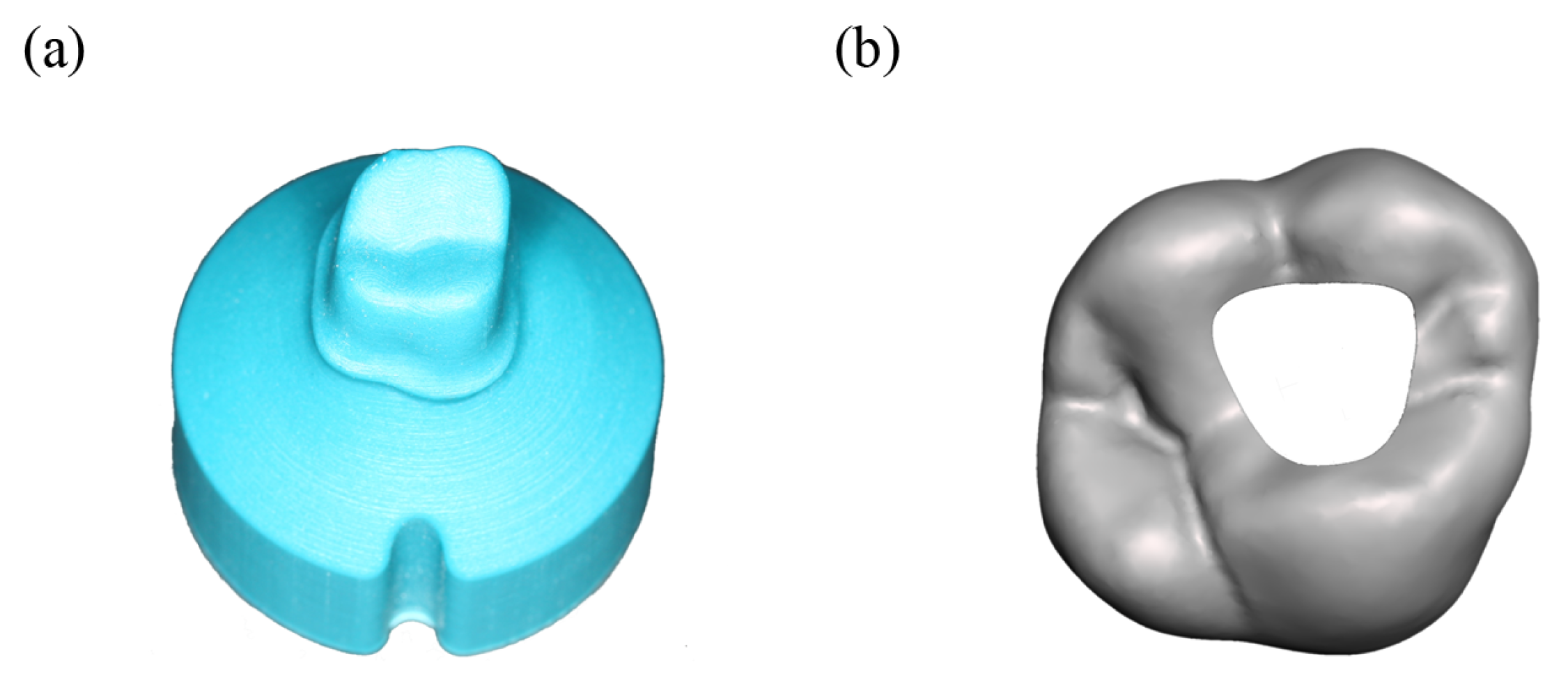 Dentistry 11 00076 g002 Dentistry 11 00076 g002