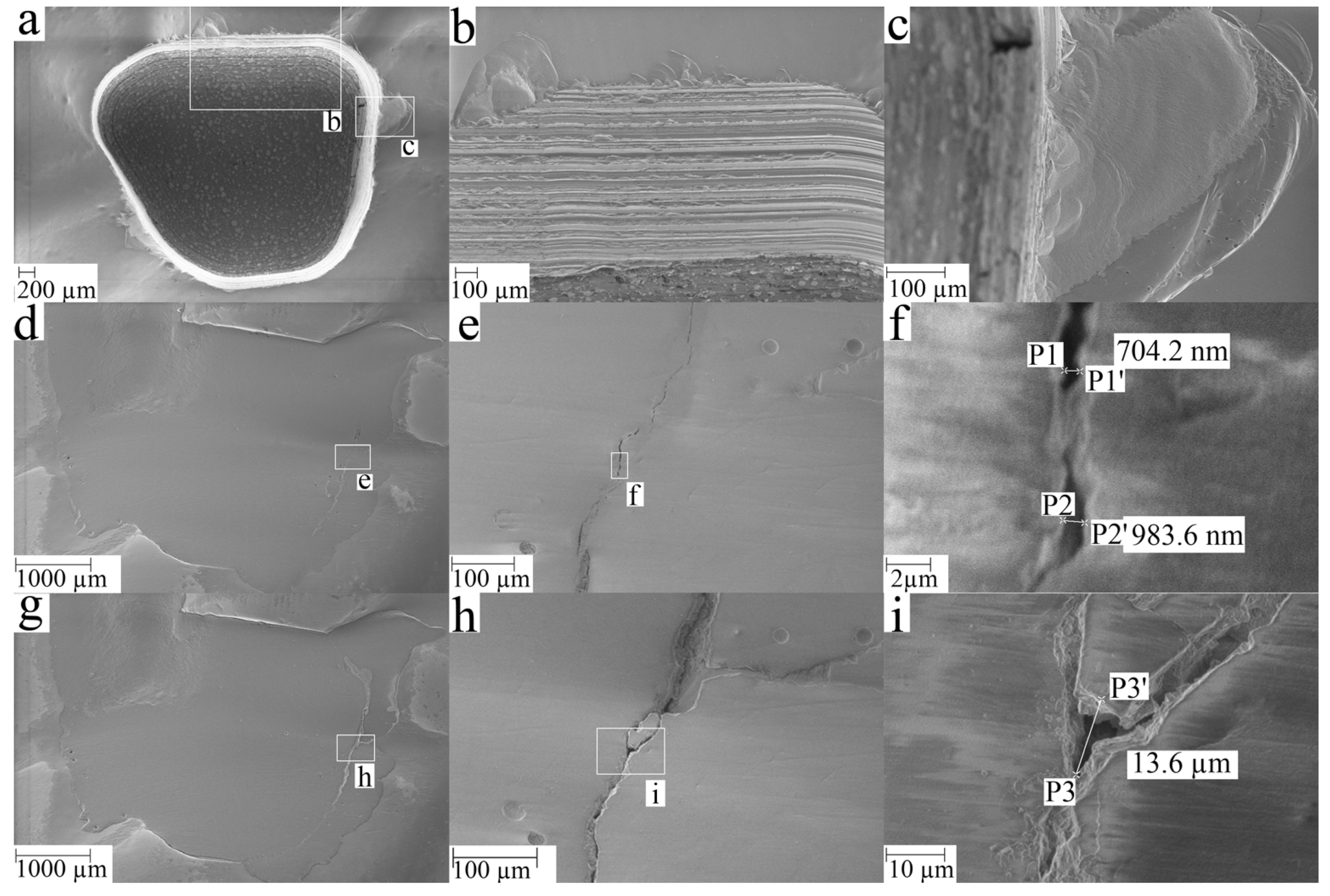 Dentistry 11 00076 g004 Dentistry 11 00076 g004