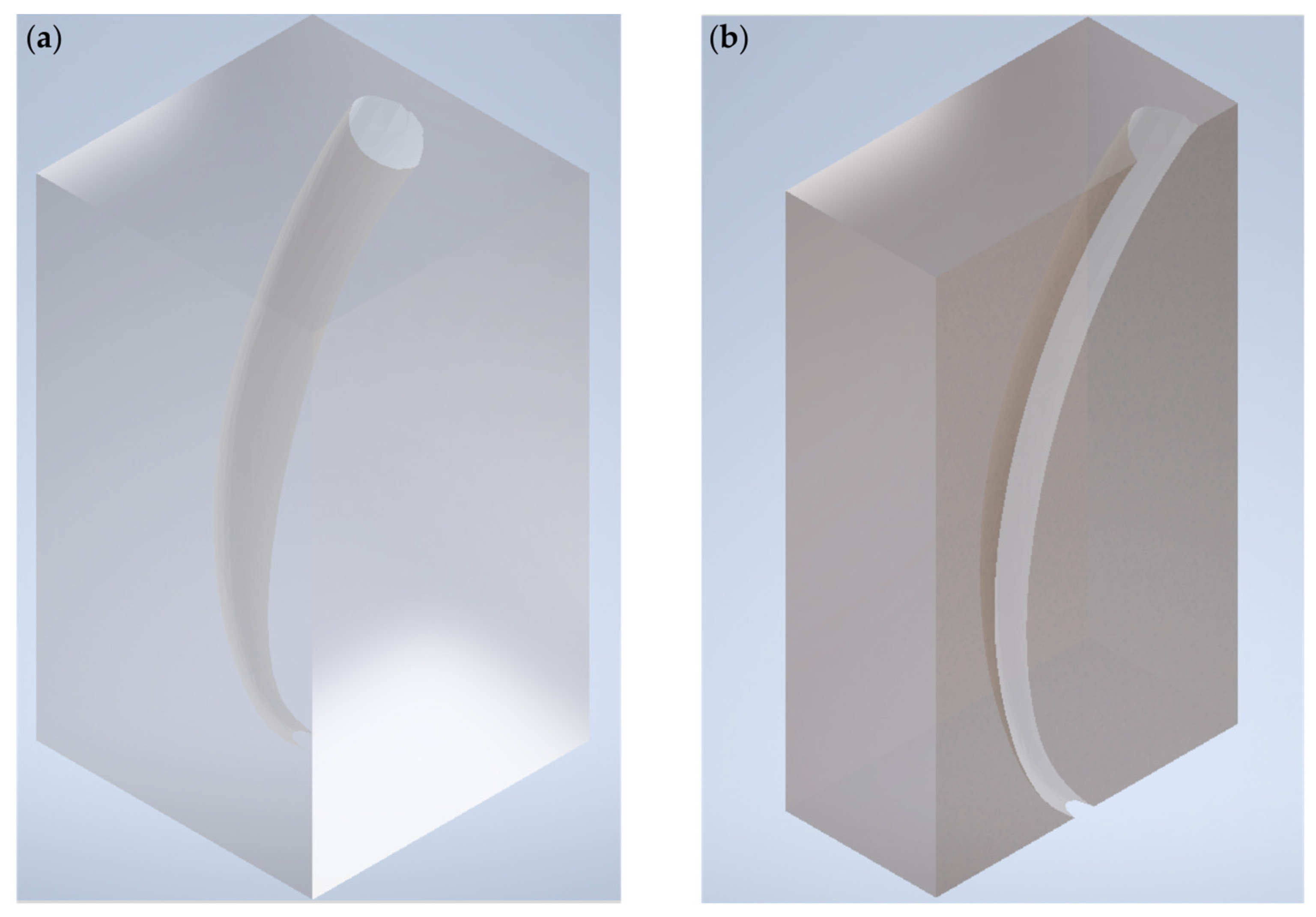 Dentistry 11 00133 g0a1 Dentistry 11 00133 g0a1