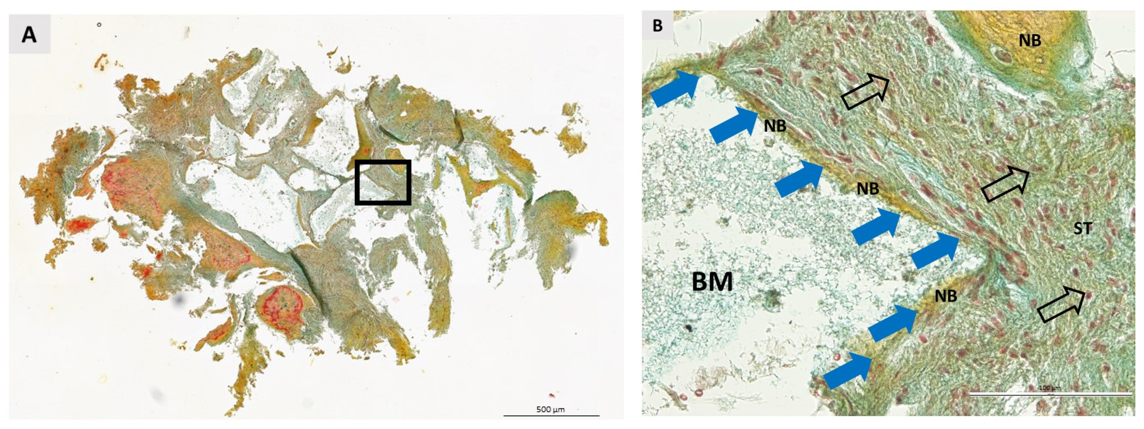 Dentistry 11 00223 g007