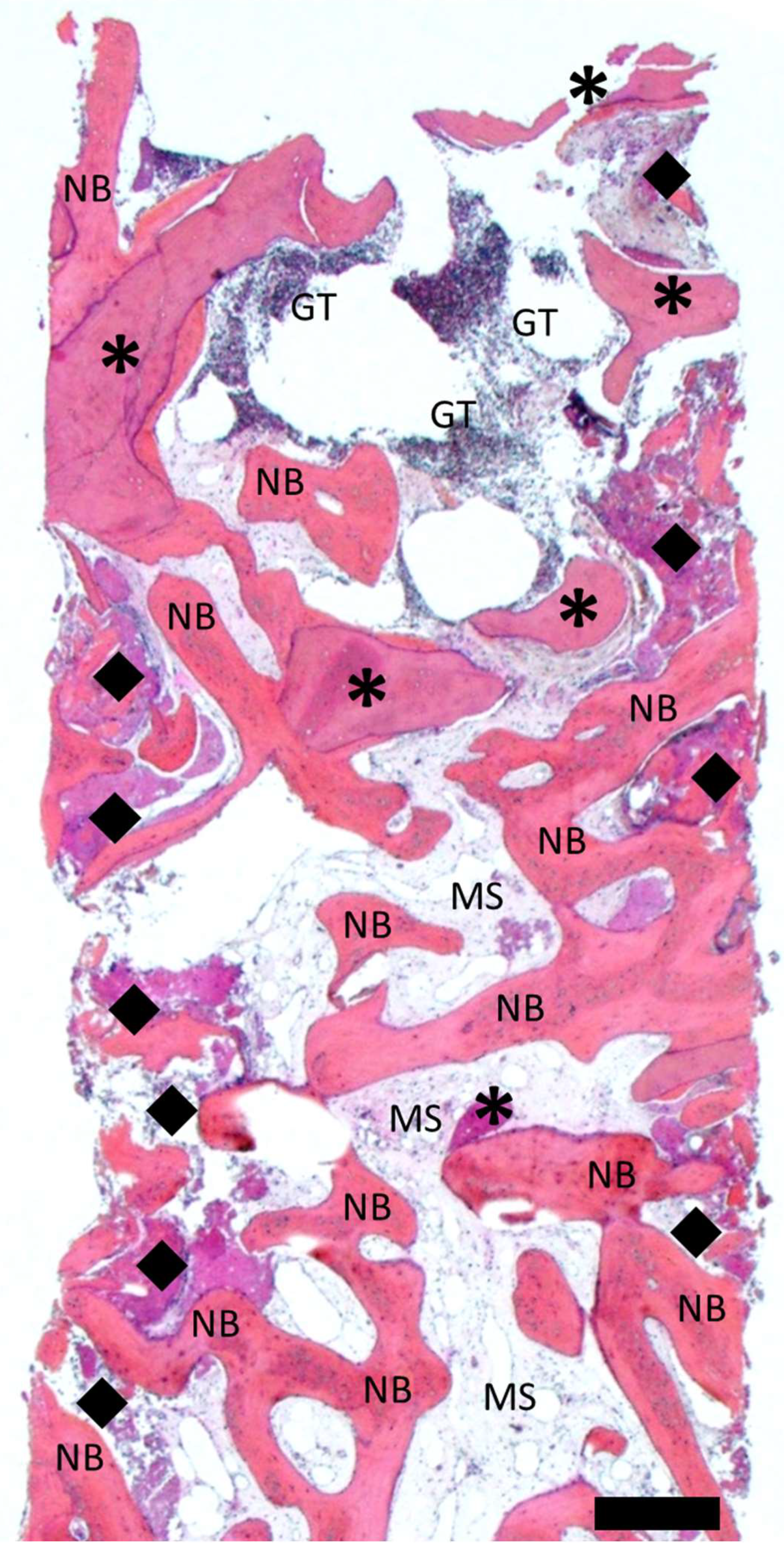Dentistry 12 00042 g010