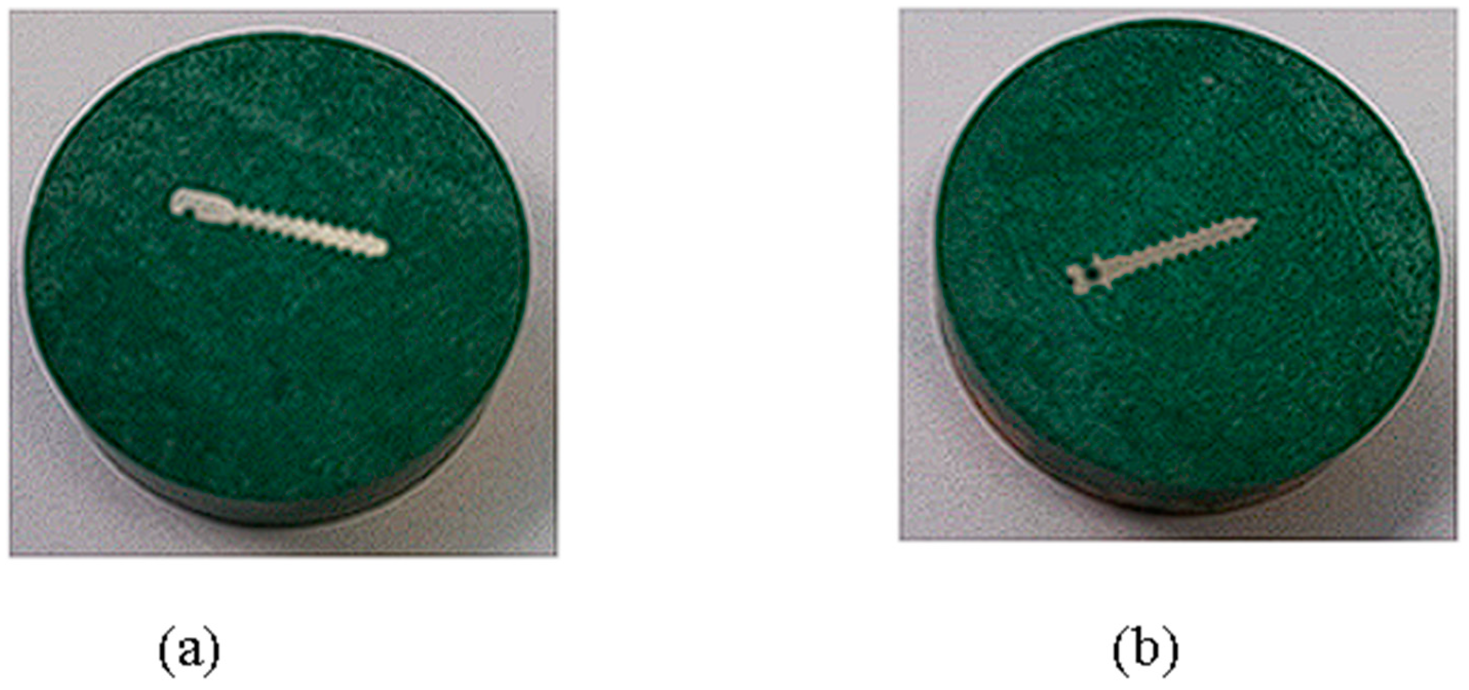 Dentistry 12 00103 g002