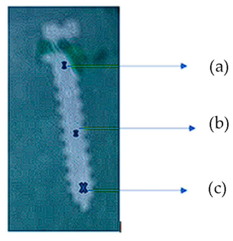 Dentistry 12 00103 g004