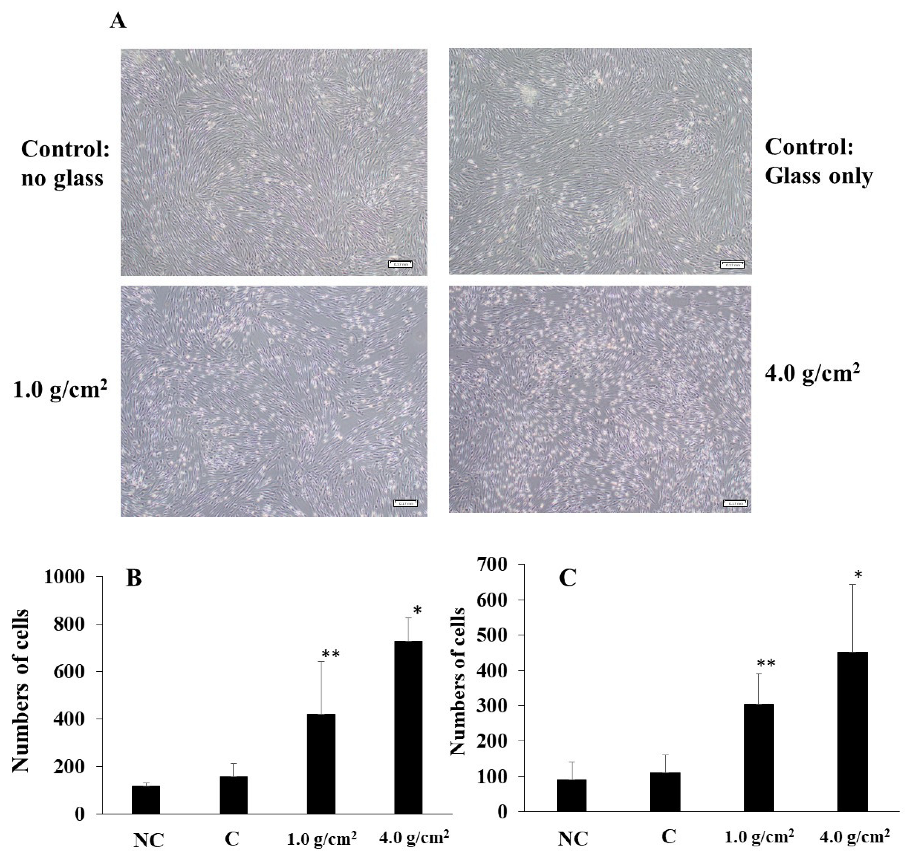 Dentistry 12 00108 g002