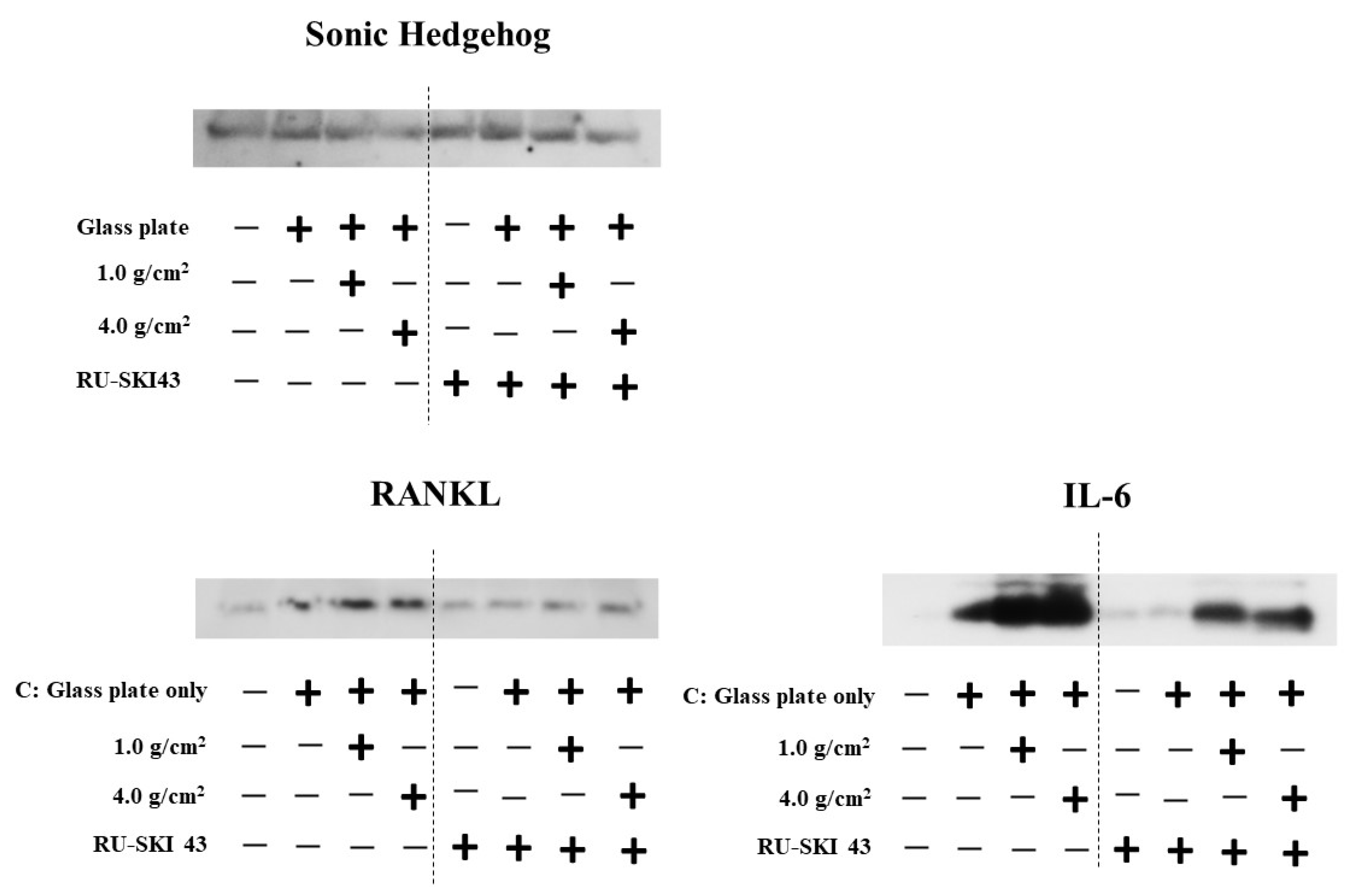 Dentistry 12 00108 g010