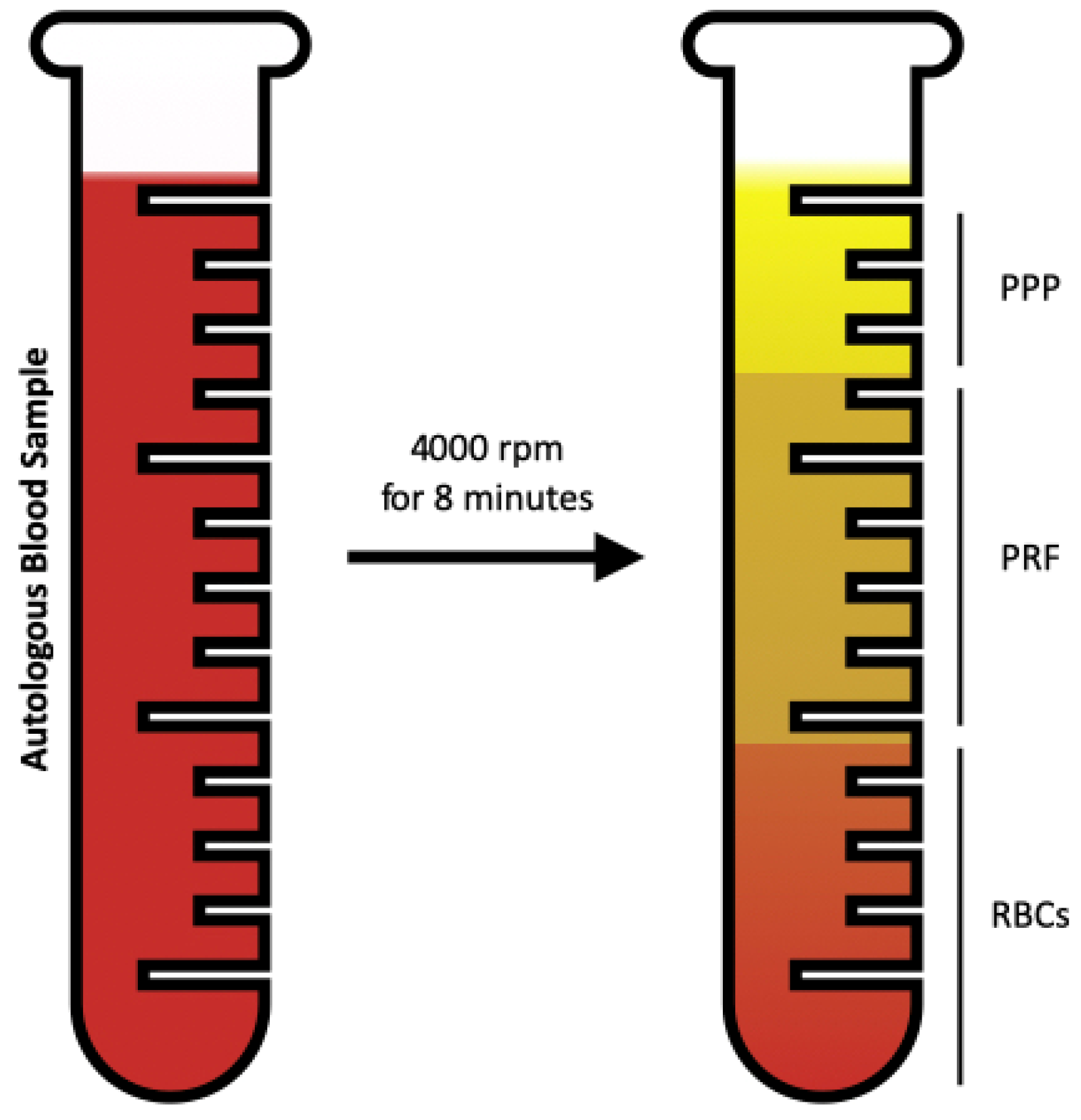Dentistry 12 00135 g001