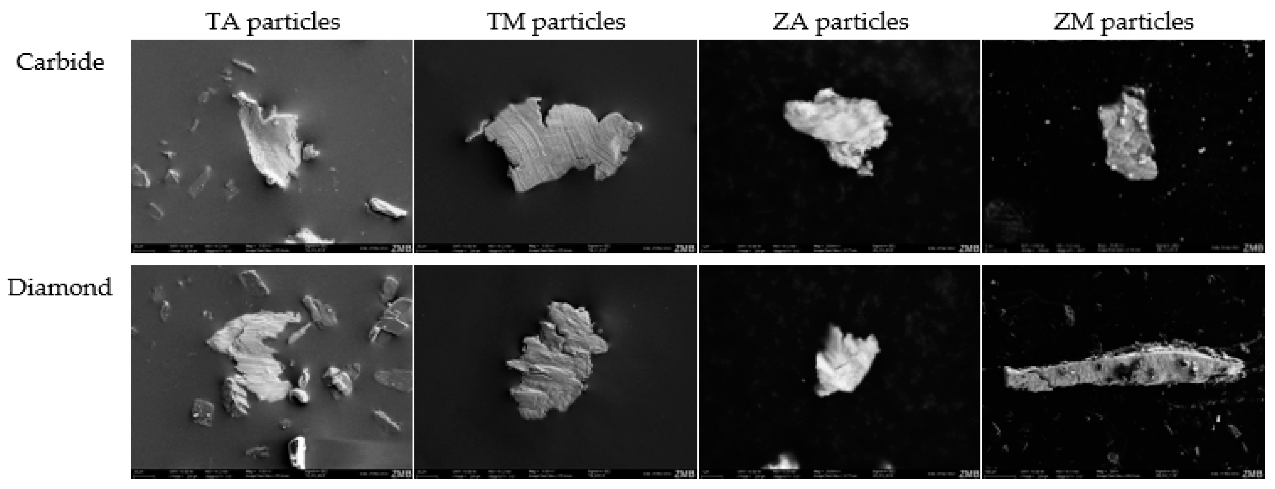 Dentistry 12 00136 g003