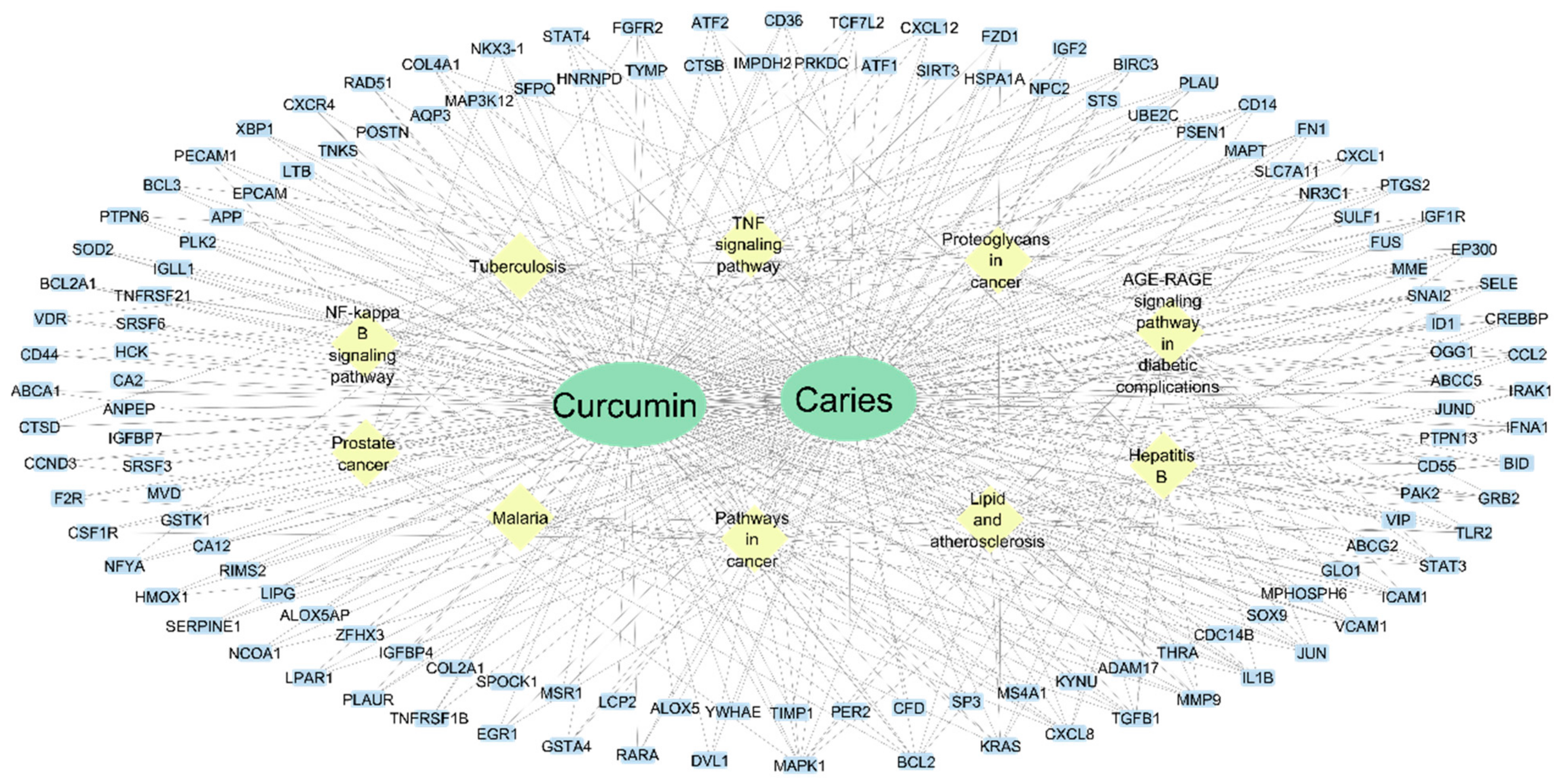 Dentistry 12 00153 g003